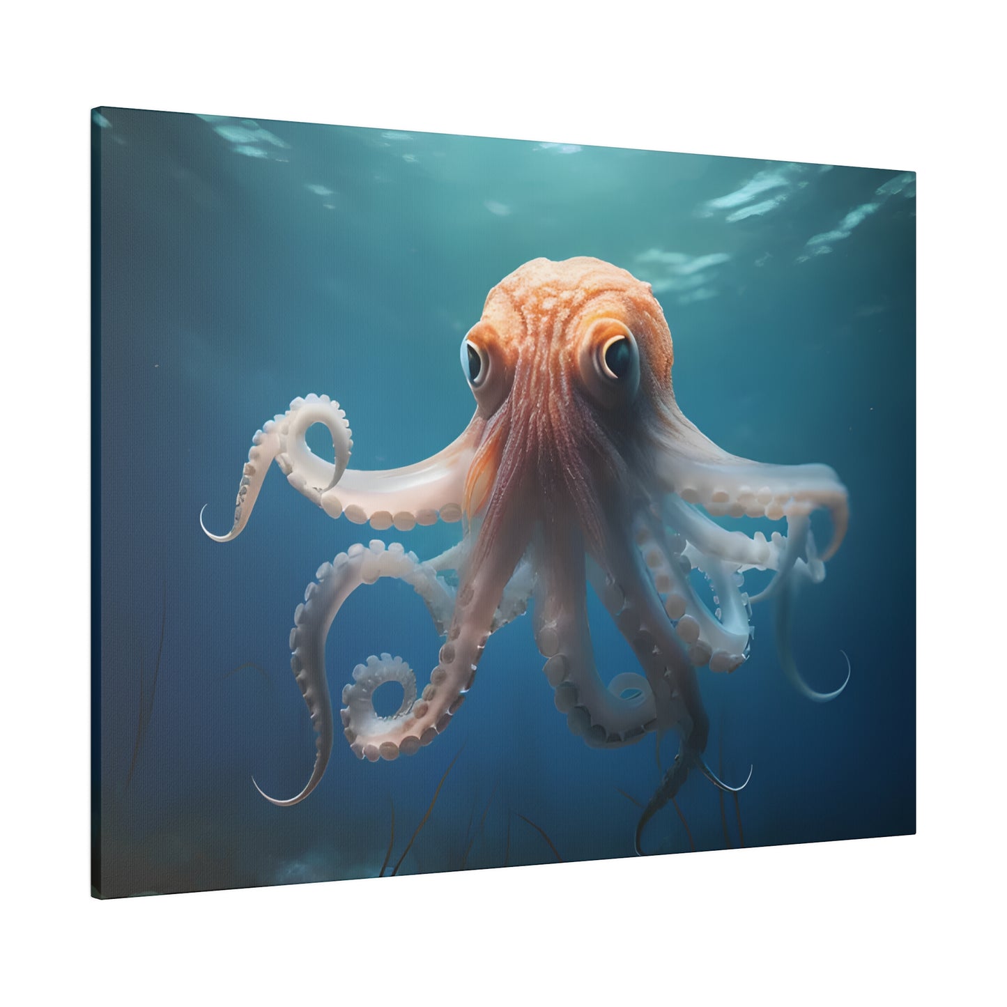 Octopus Matte Canvas, Stretched, 0.75" pn010