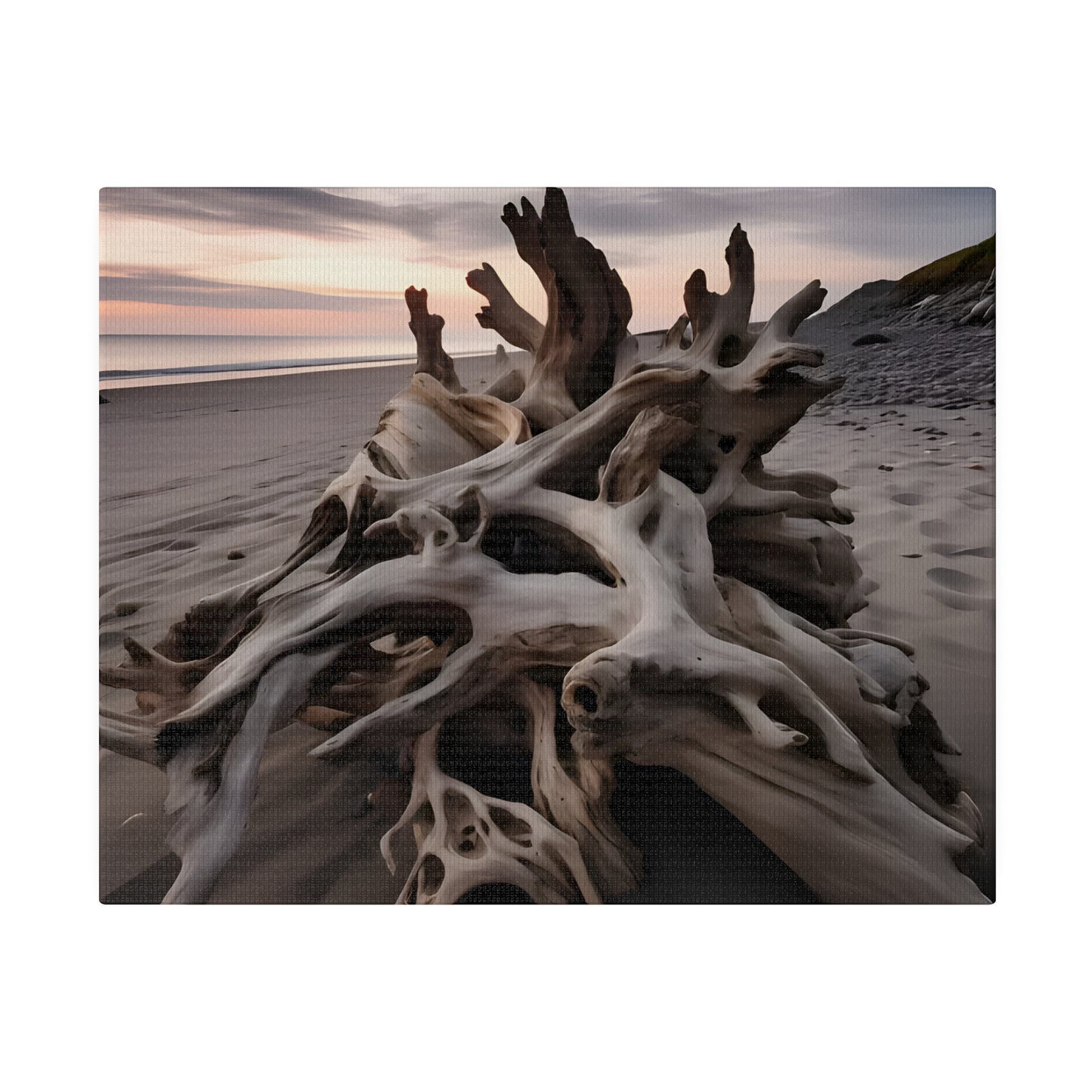 Drift Wood Matte Canvas, Stretched, 0.75" pn013