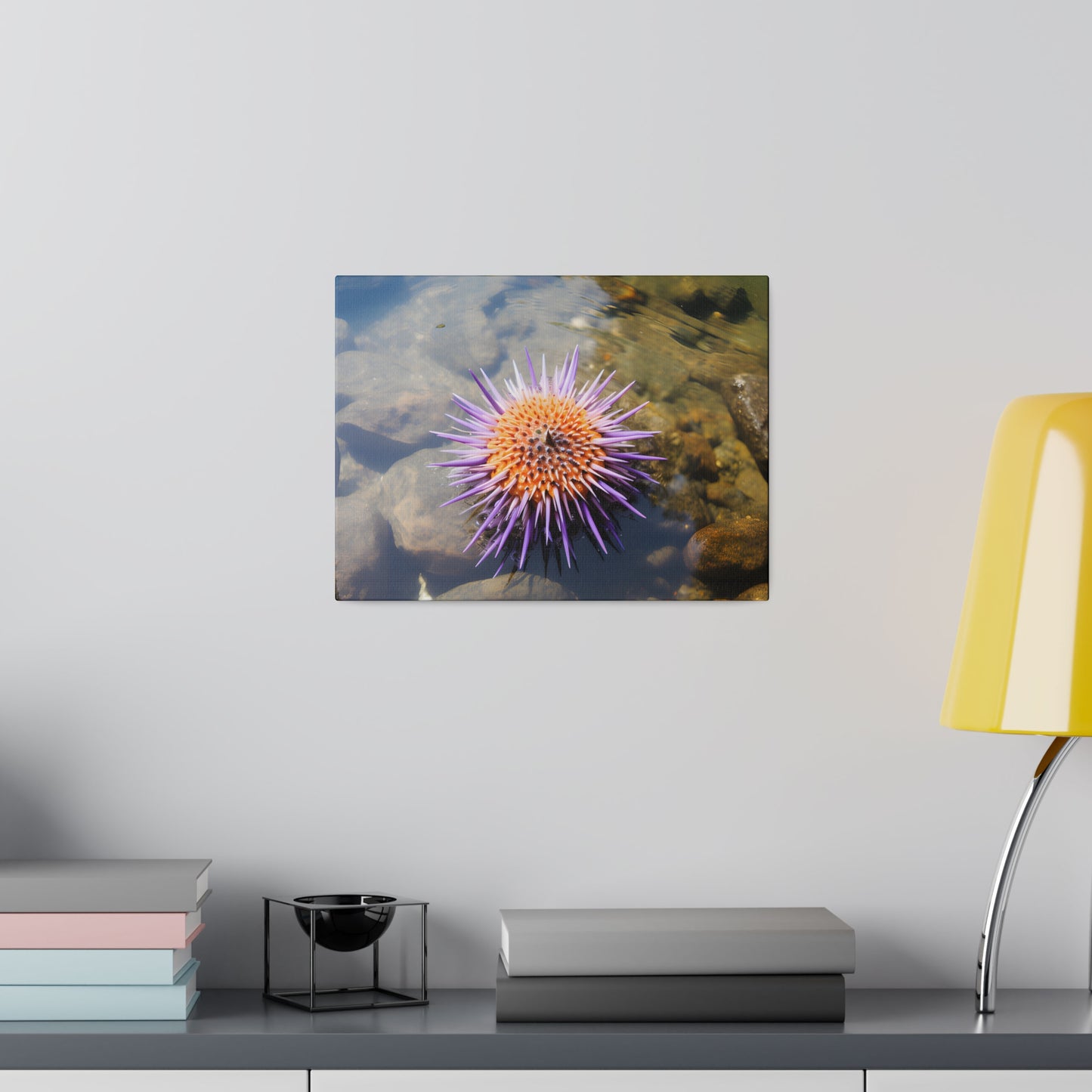 Sea Urchin Matte Canvas, Stretched, 0.75" pn005
