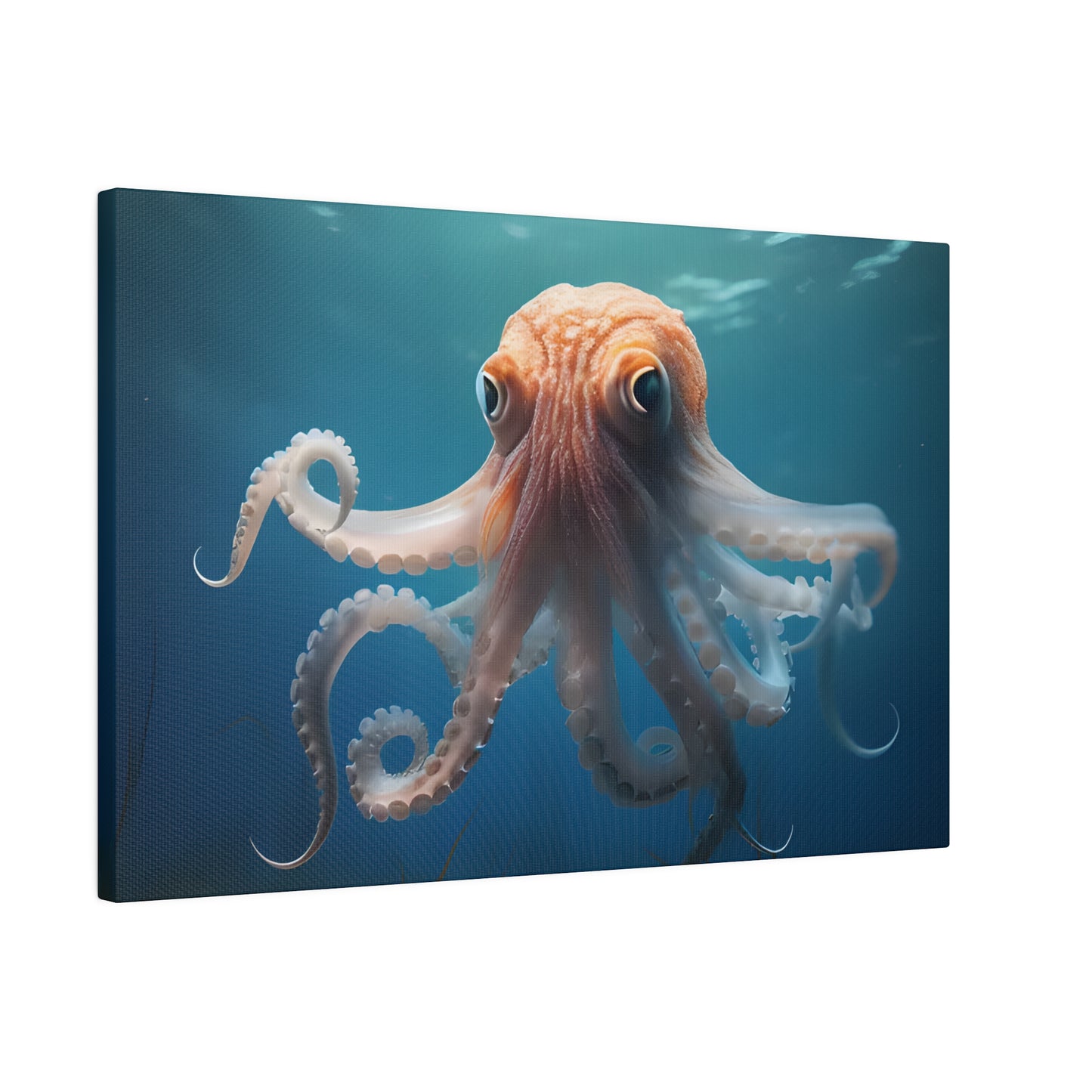 Octopus Matte Canvas, Stretched, 0.75" pn010
