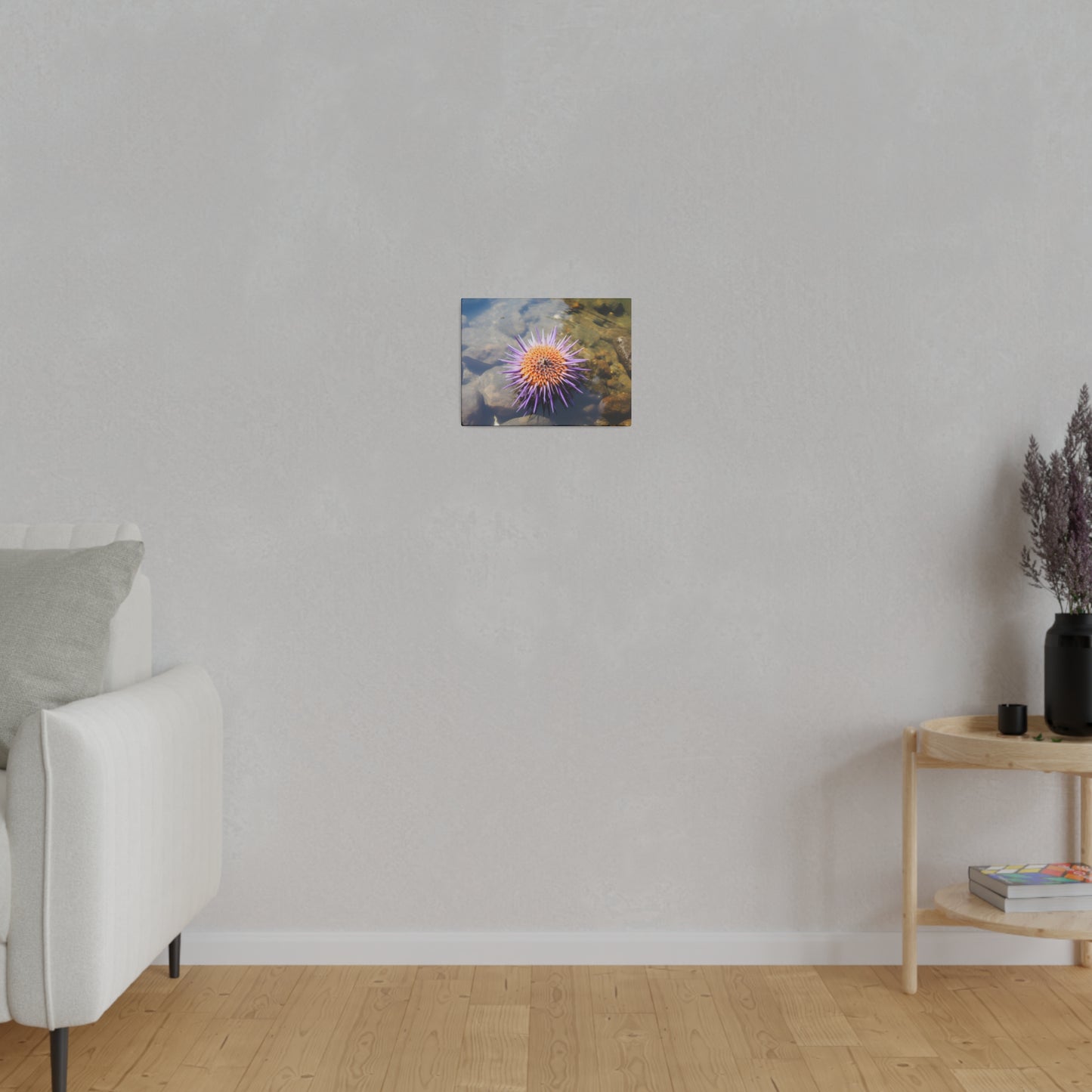 Sea Urchin Matte Canvas, Stretched, 0.75" pn005