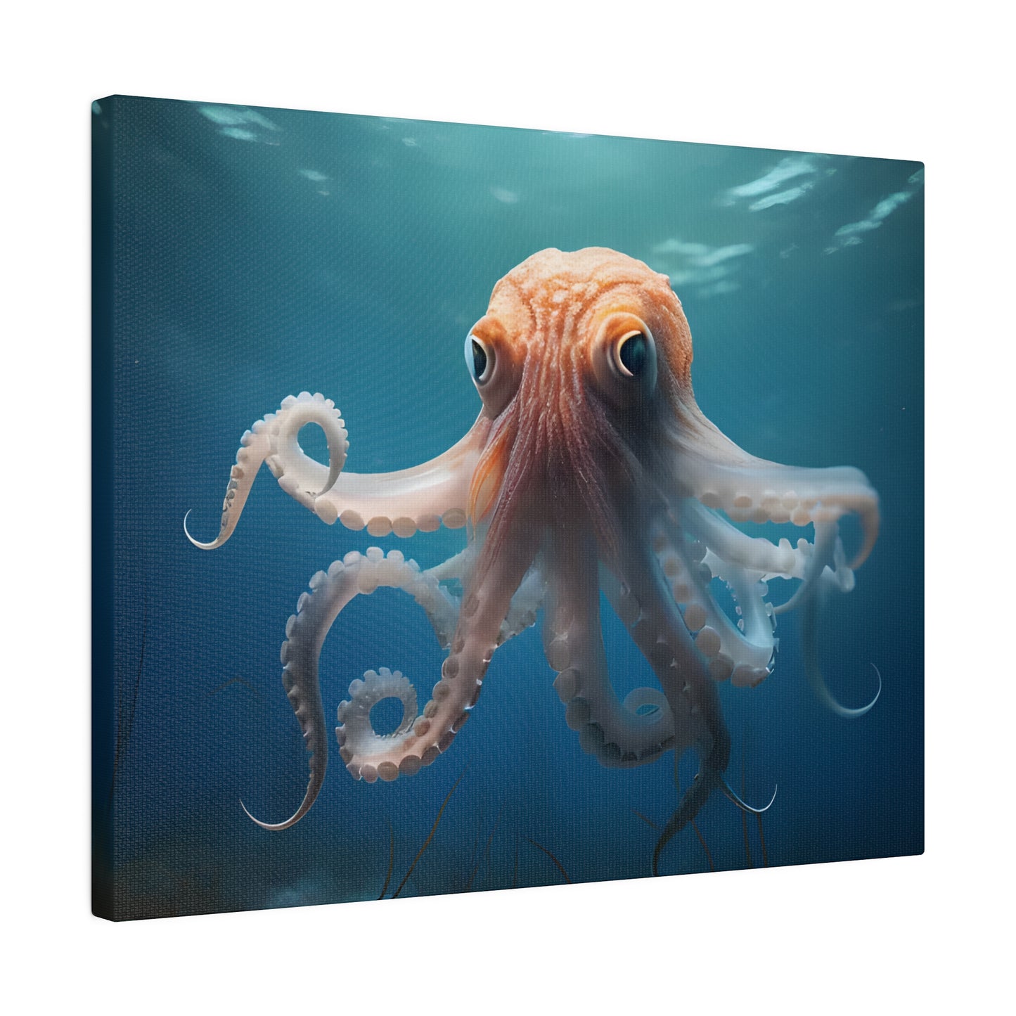 Octopus Matte Canvas, Stretched, 0.75" pn010