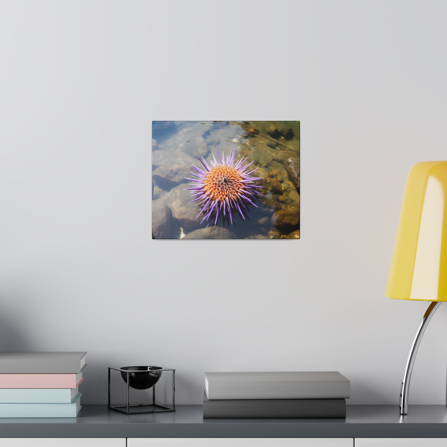 Sea Urchin Matte Canvas, Stretched, 0.75" pn005