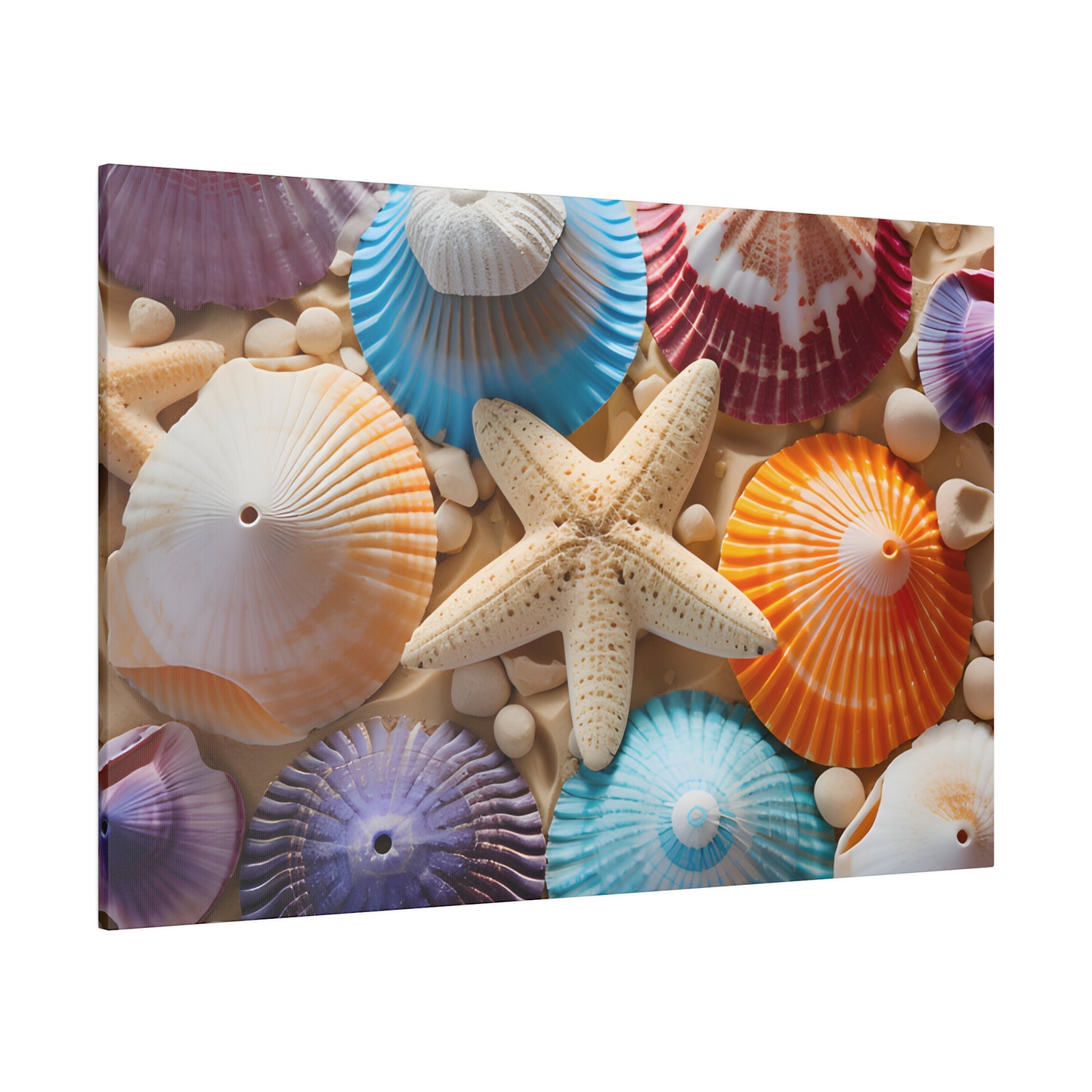 Starfish And Seashells Matte Canvas, Stretched, 0.75" pn004