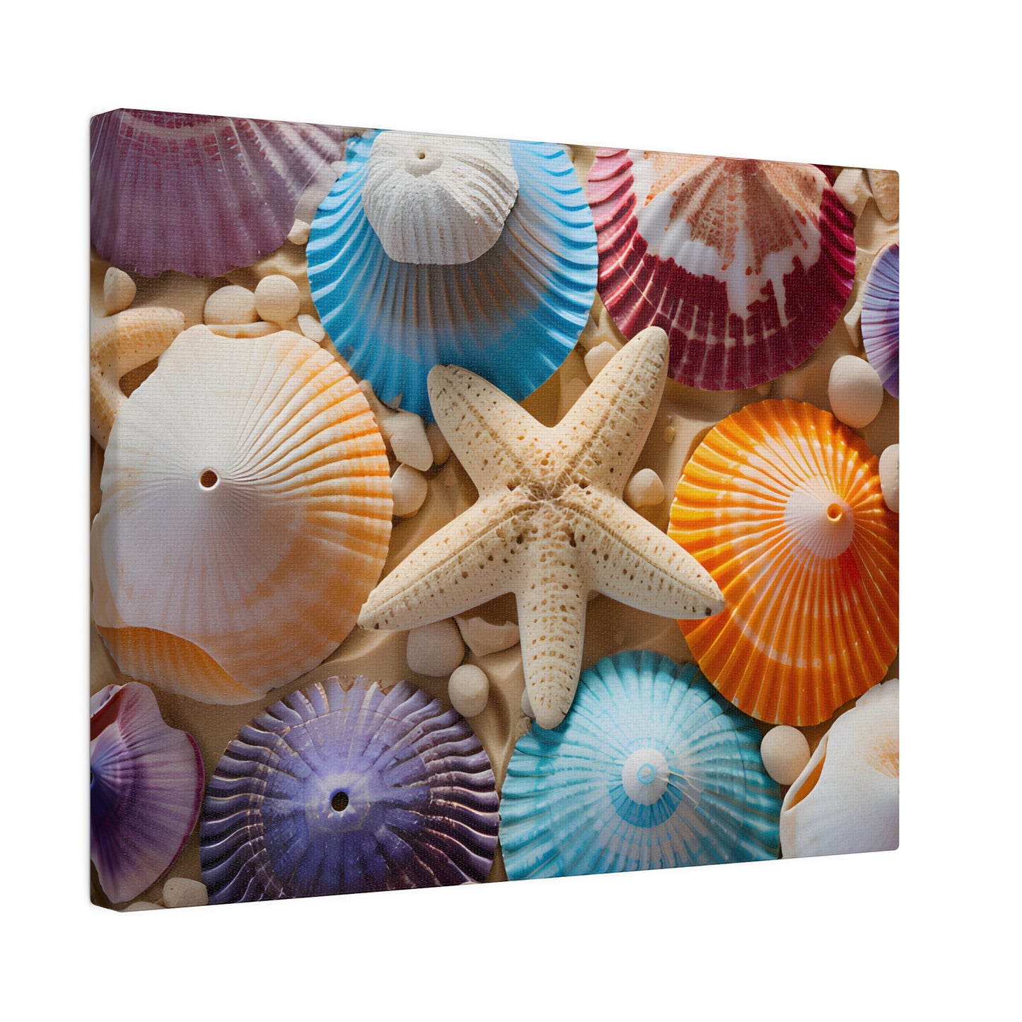 Starfish And Seashells Matte Canvas, Stretched, 0.75" pn004