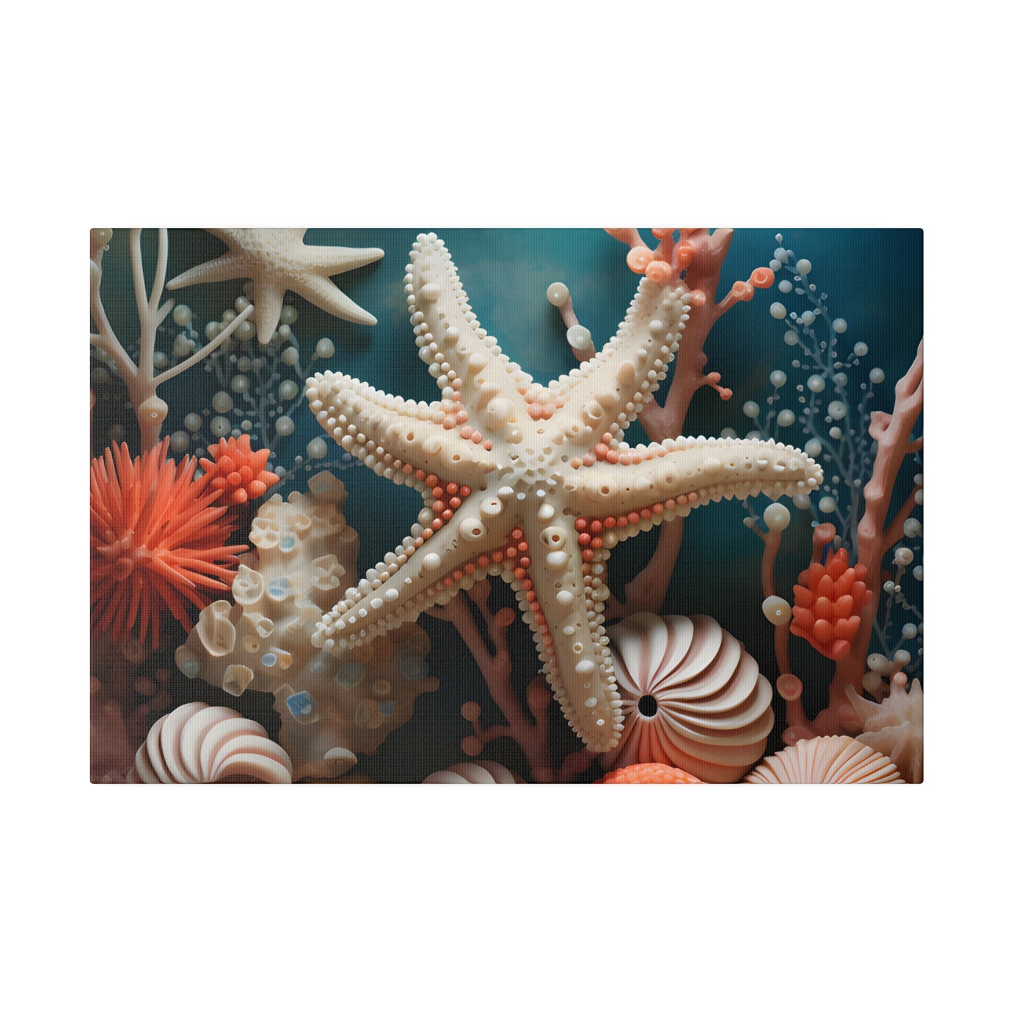 Starfish Matte Canvas, Stretched, 0.75" pn009
