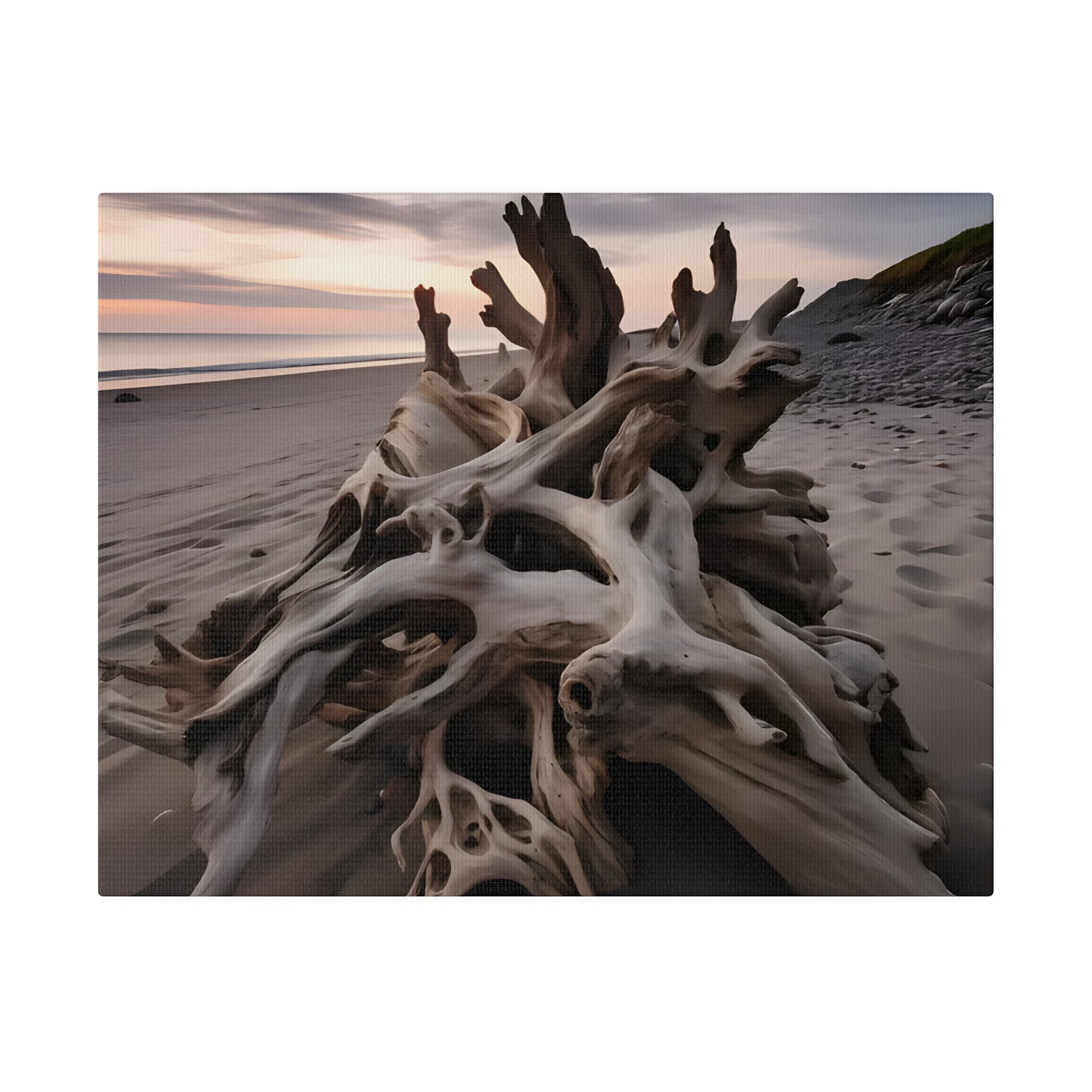 Drift Wood Matte Canvas, Stretched, 0.75" pn013