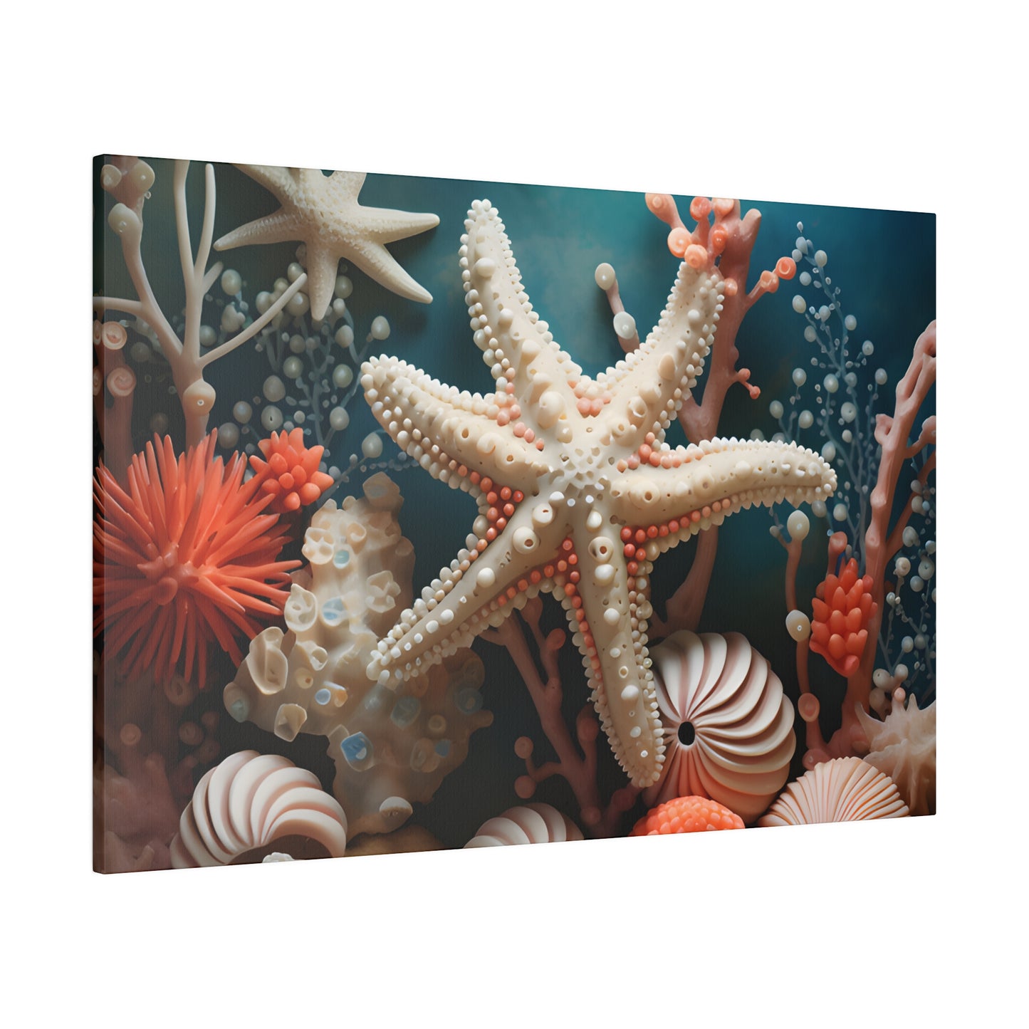 Starfish Matte Canvas, Stretched, 0.75" pn009