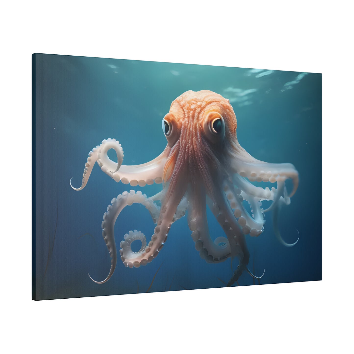 Octopus Matte Canvas, Stretched, 0.75" pn010