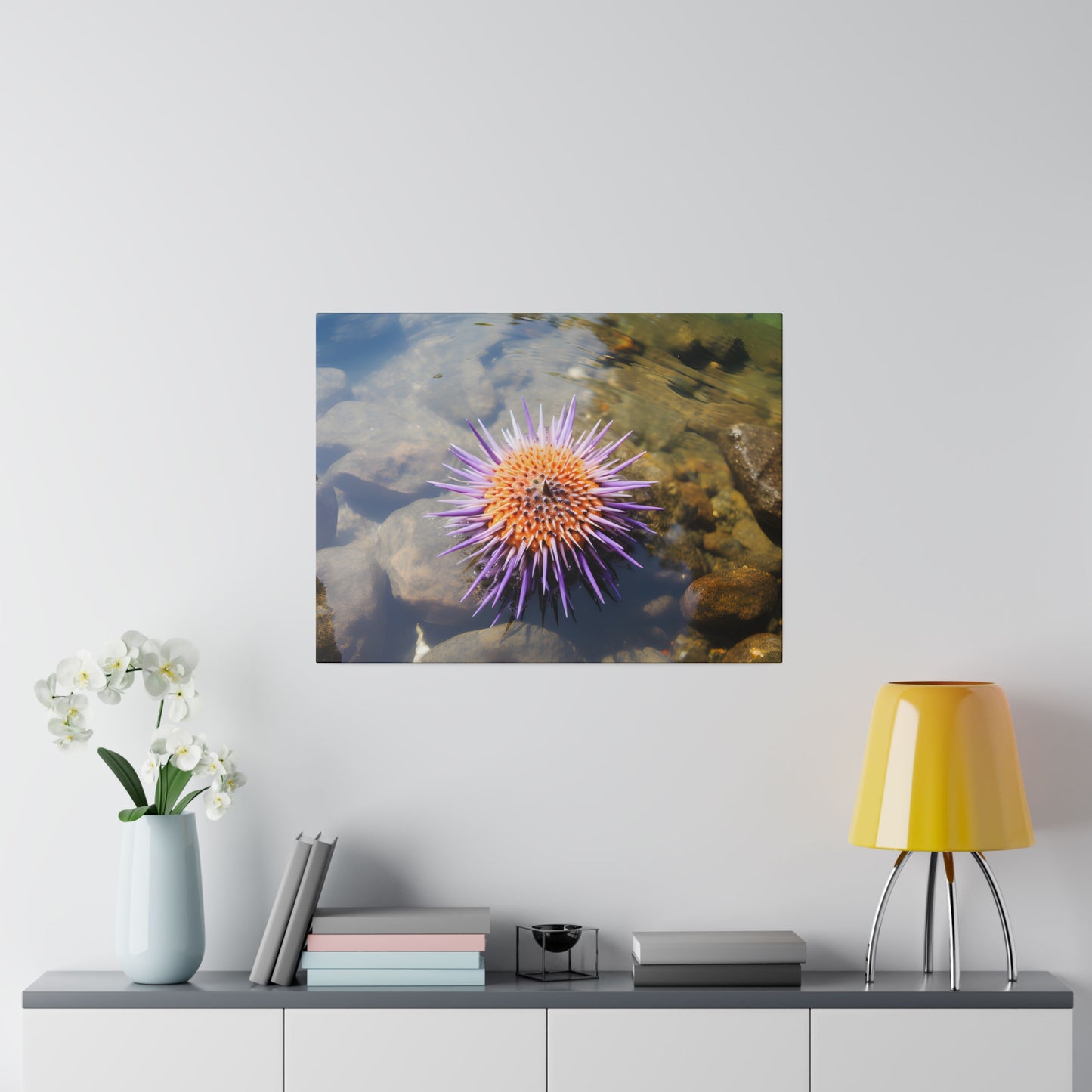 Sea Urchin Matte Canvas, Stretched, 0.75" pn005