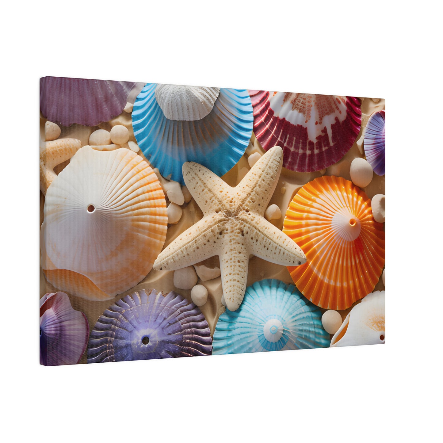 Starfish And Seashells Matte Canvas, Stretched, 0.75" pn004