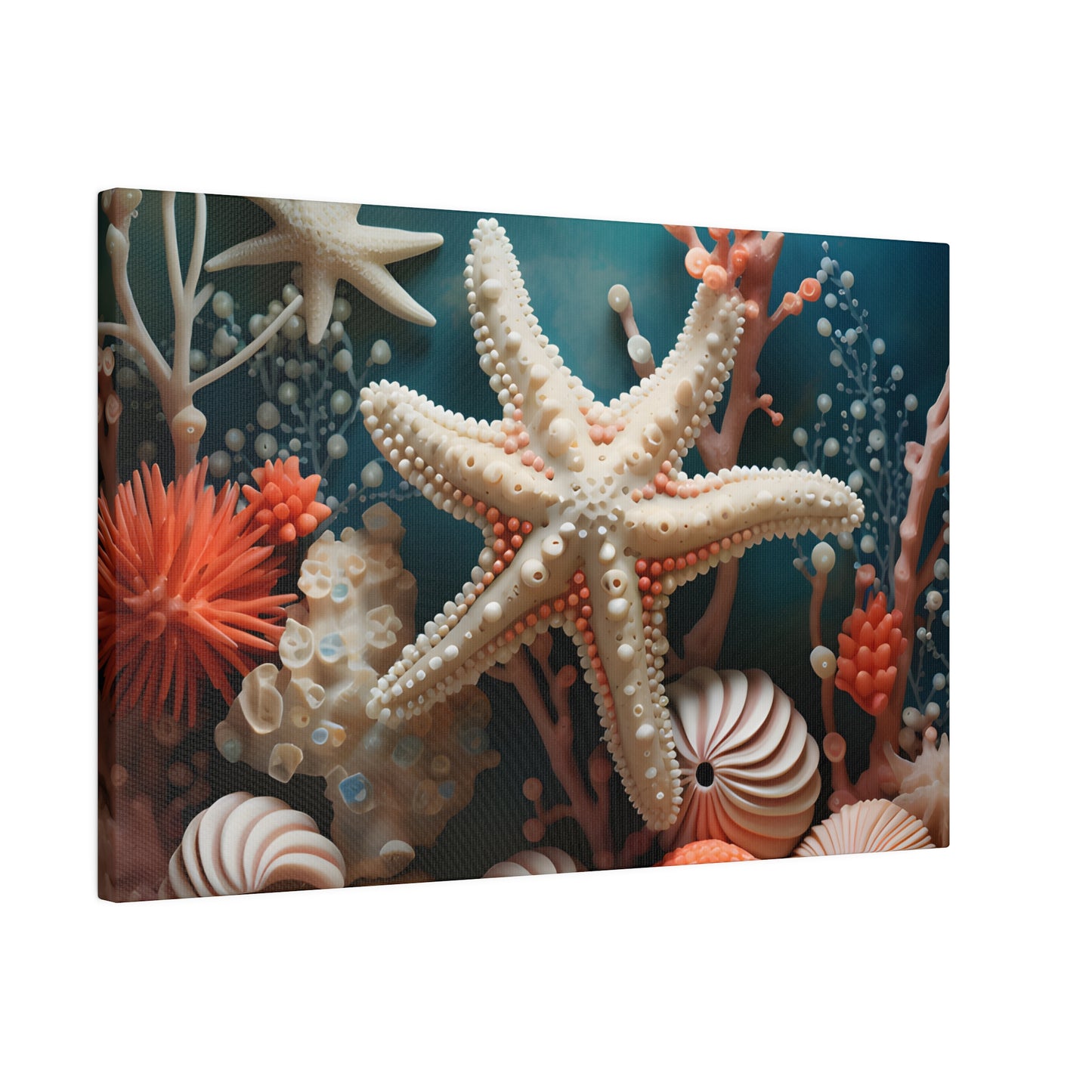 Starfish Matte Canvas, Stretched, 0.75" pn009