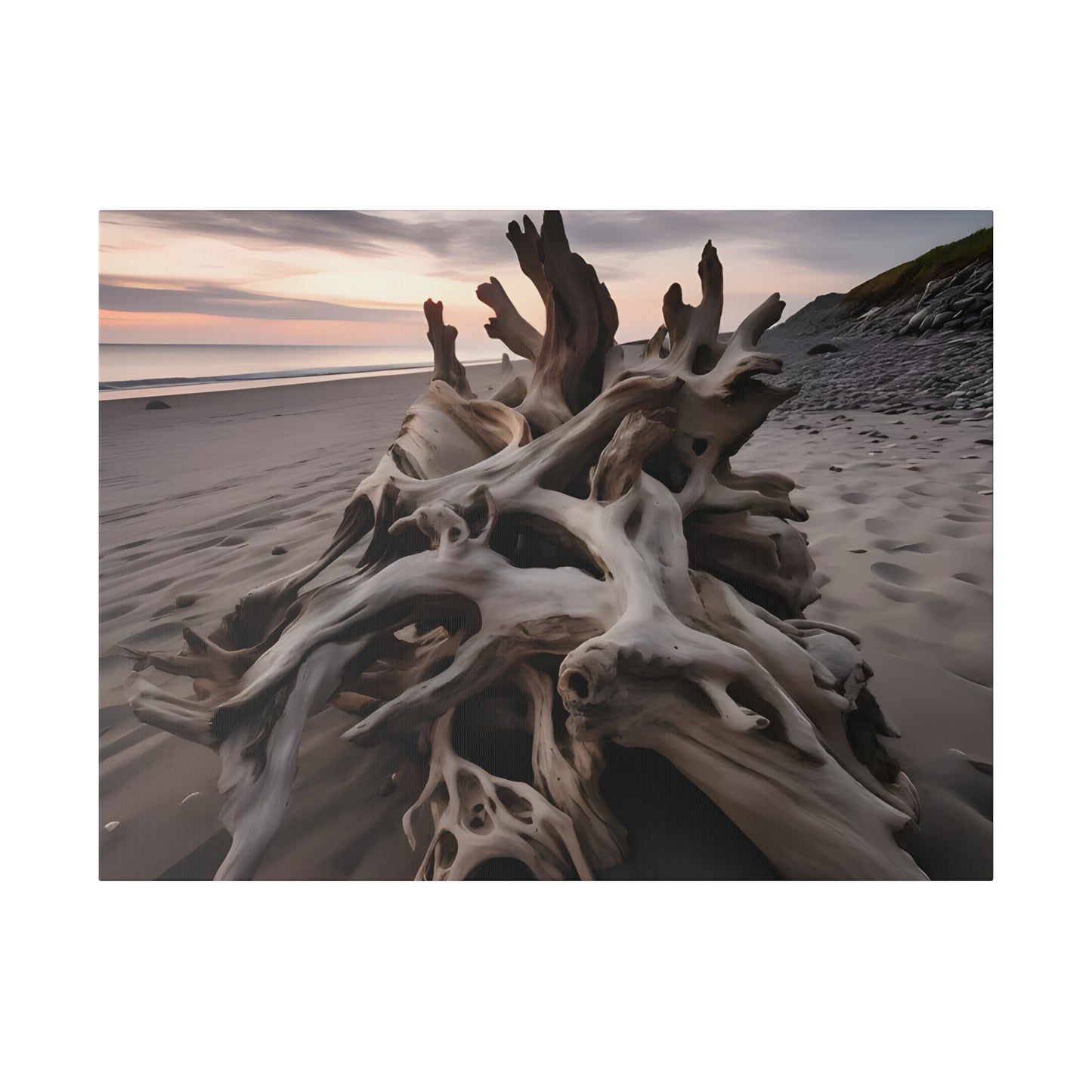 Drift Wood Matte Canvas, Stretched, 0.75" pn013