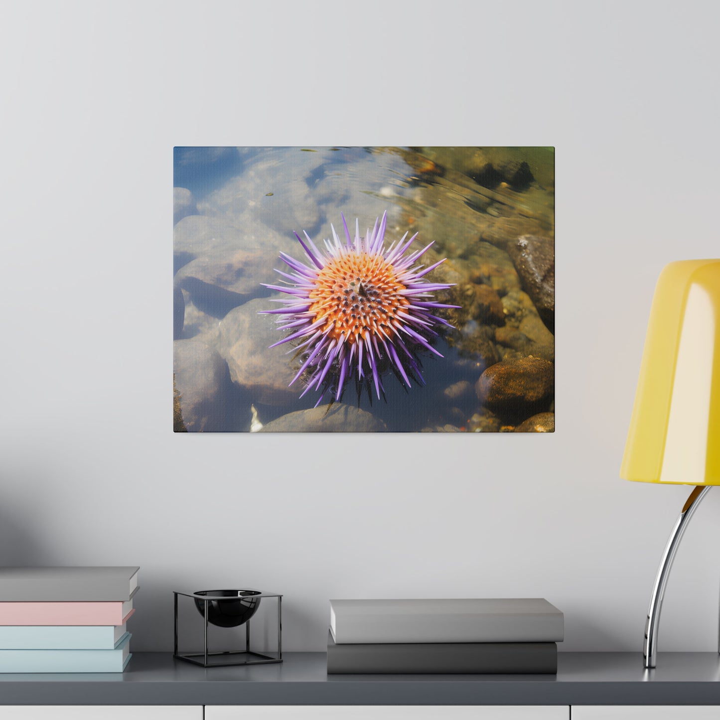 Sea Urchin Matte Canvas, Stretched, 0.75" pn005