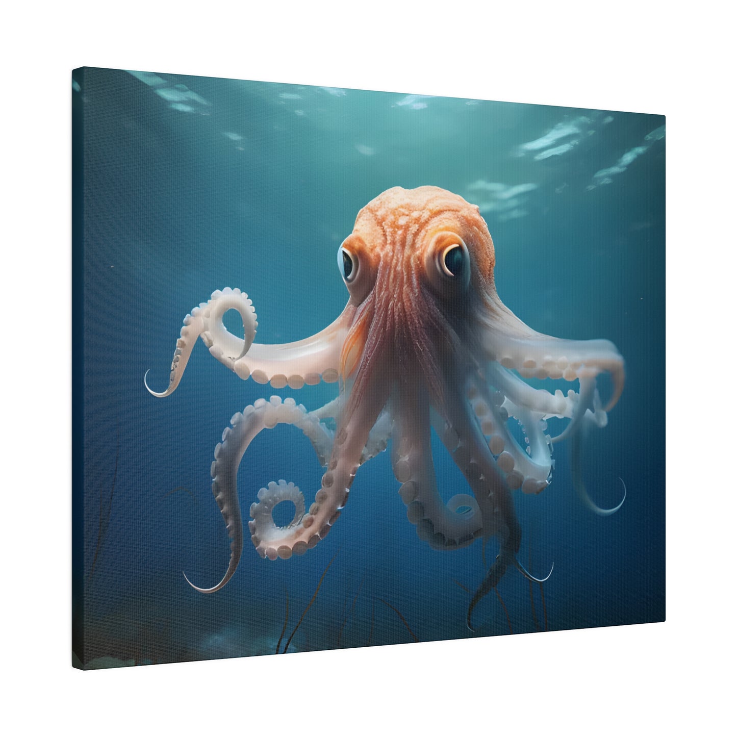 Octopus Matte Canvas, Stretched, 0.75" pn010