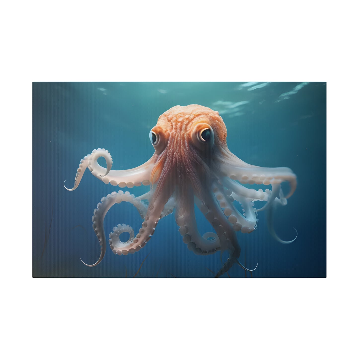 Octopus Matte Canvas, Stretched, 0.75" pn010