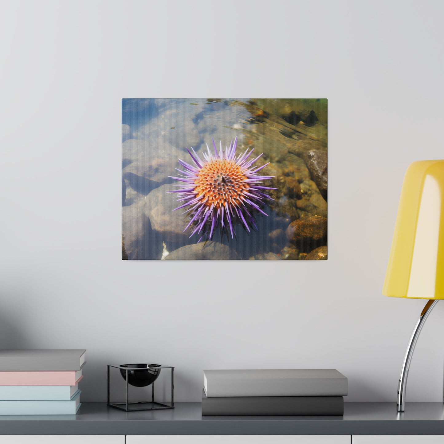 Sea Urchin Matte Canvas, Stretched, 0.75" pn005