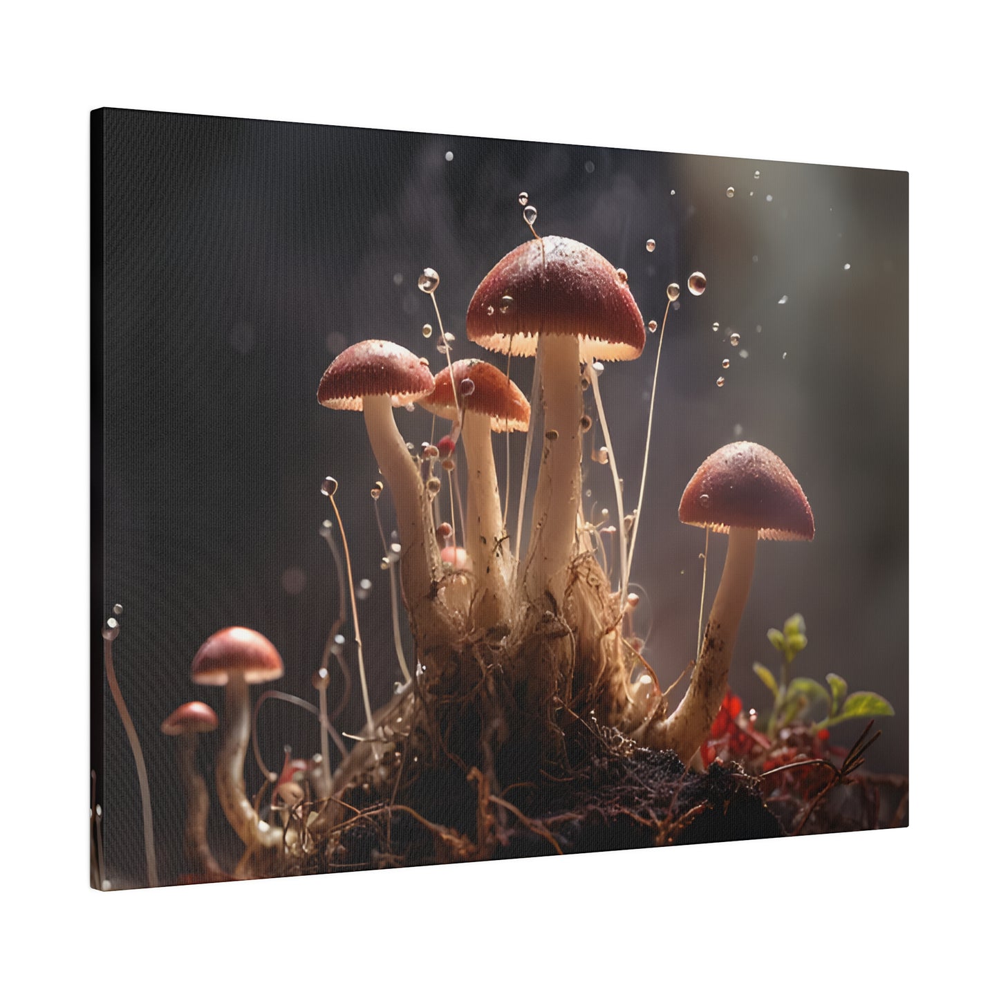 Tiny Mushrooms Matte Canvas, Stretched, 0.75" pn026