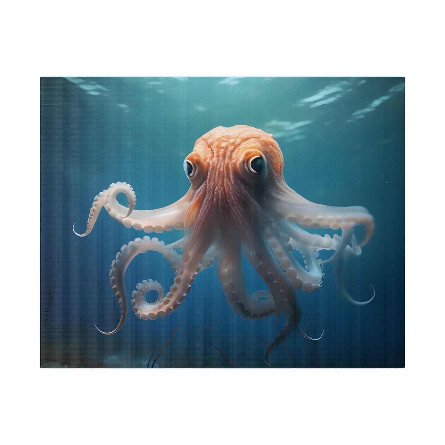 Octopus Matte Canvas, Stretched, 0.75" pn010