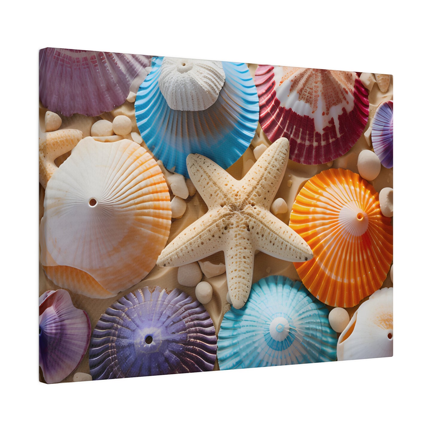 Starfish And Seashells Matte Canvas, Stretched, 0.75" pn004