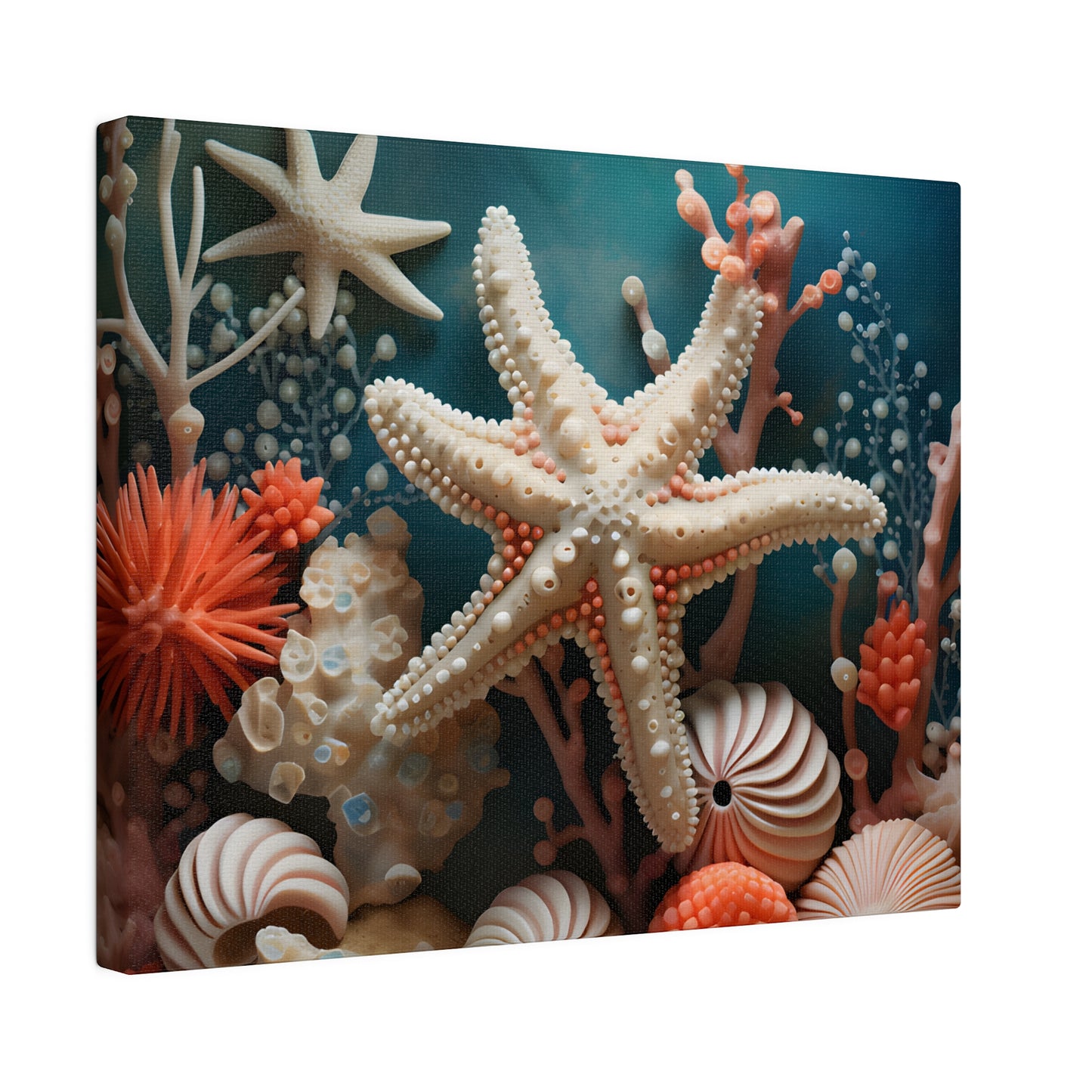 Starfish Matte Canvas, Stretched, 0.75" pn009
