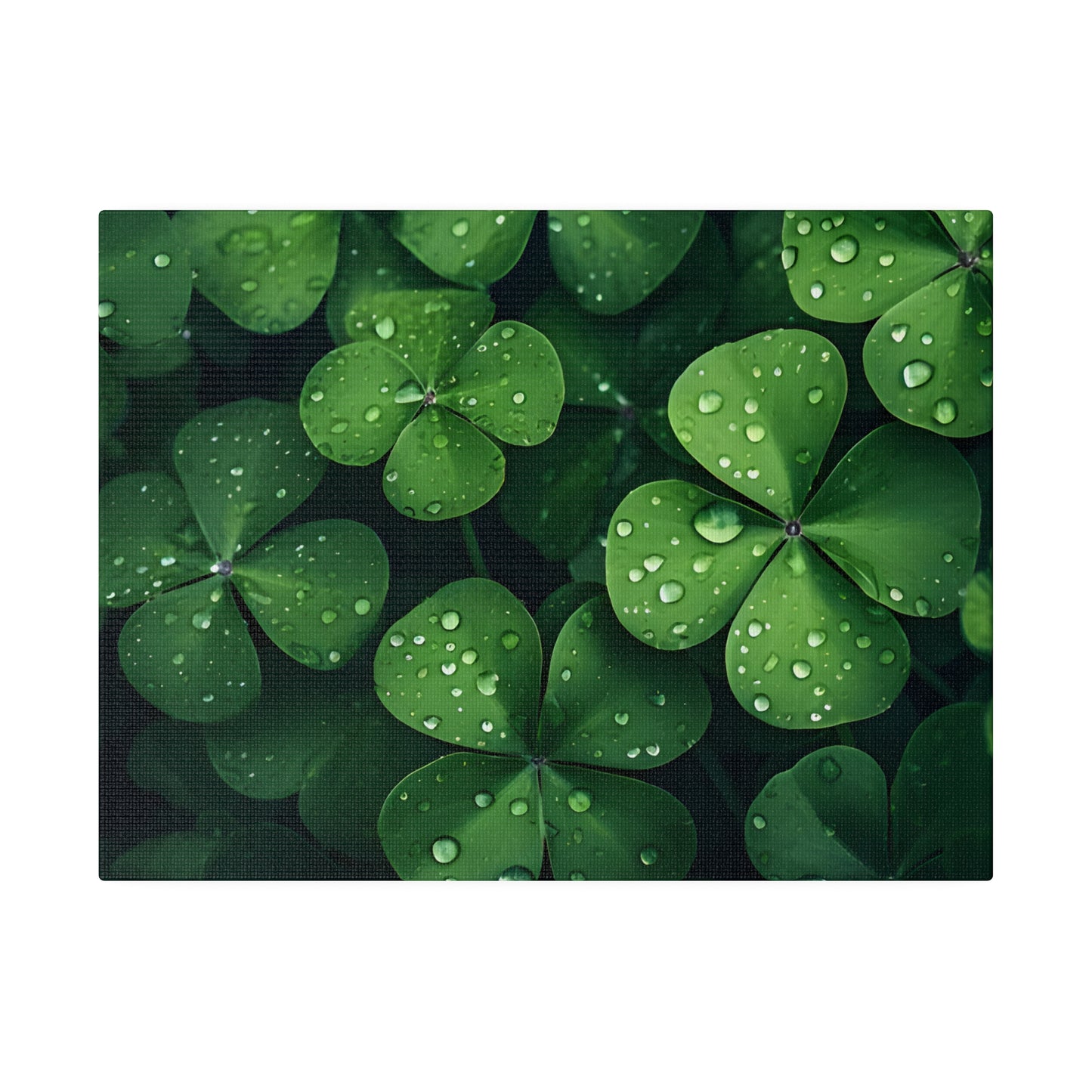 Clover Matte Canvas, Stretched, 0.75" pn021
