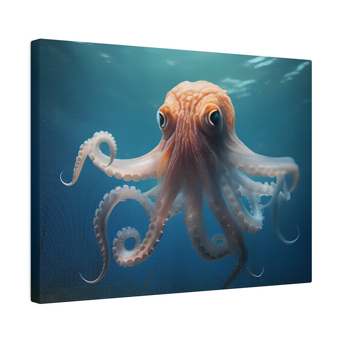 Octopus Matte Canvas, Stretched, 0.75" pn010
