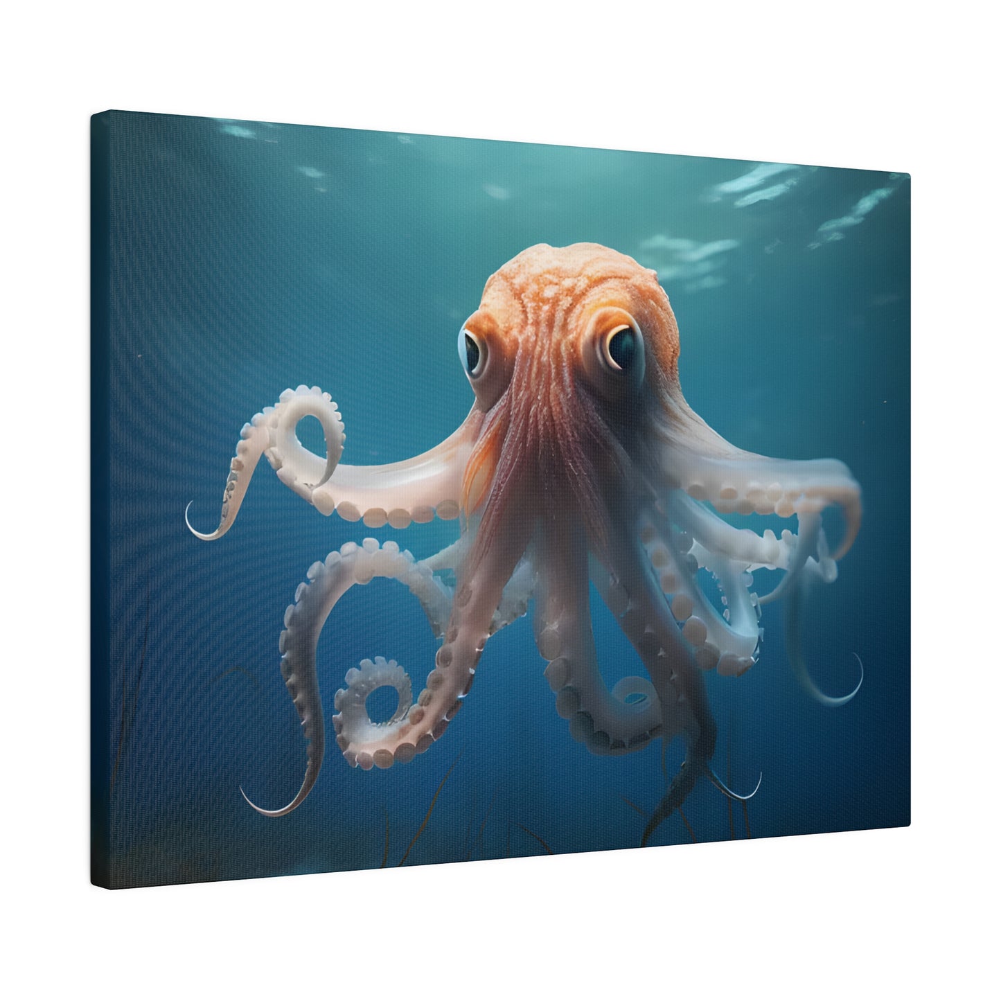 Octopus Matte Canvas, Stretched, 0.75" pn010