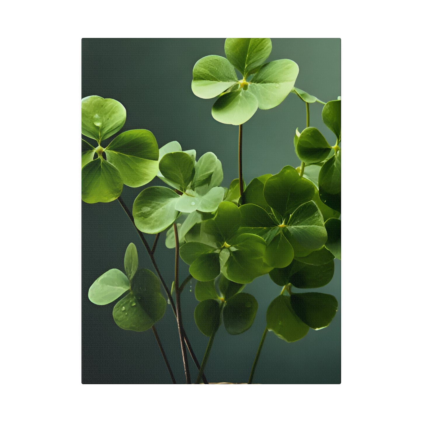 Clover Matte Canvas, Stretched, 0.75" pn020
