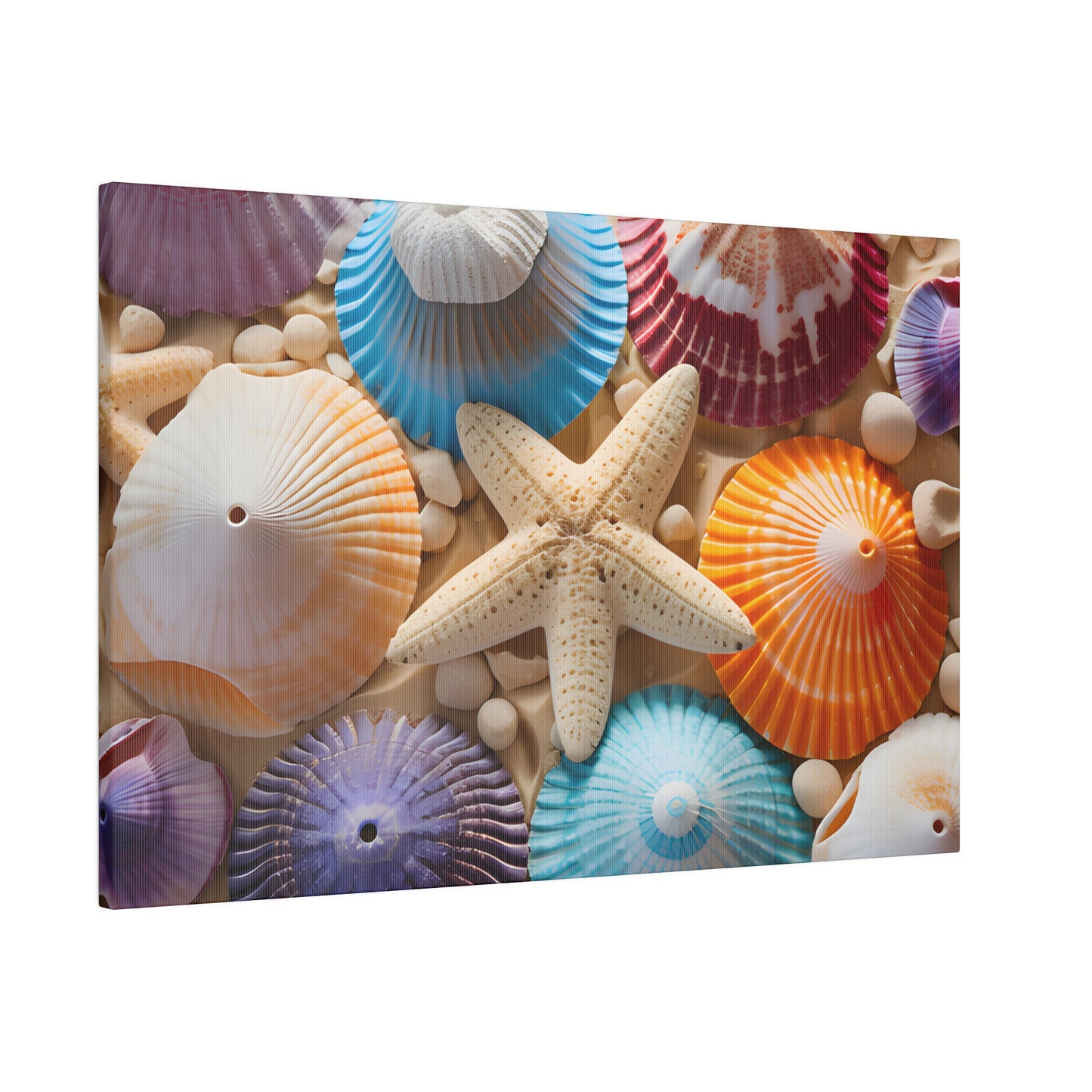 Starfish And Seashells Matte Canvas, Stretched, 0.75" pn004