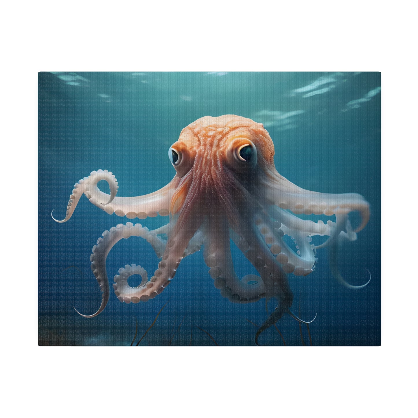 Octopus Matte Canvas, Stretched, 0.75" pn010