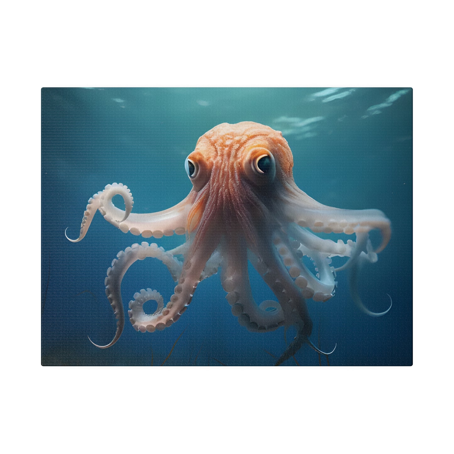 Octopus Matte Canvas, Stretched, 0.75" pn010