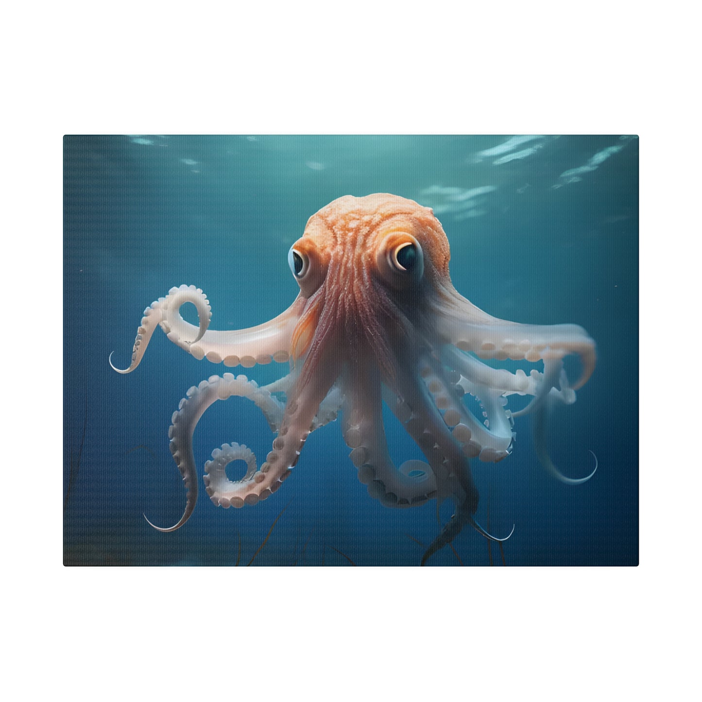 Octopus Matte Canvas, Stretched, 0.75" pn010