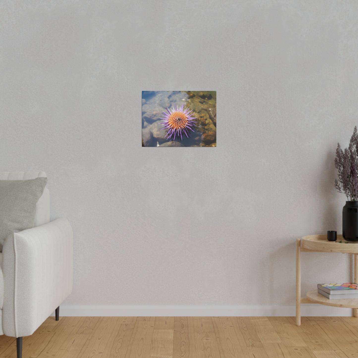 Sea Urchin Matte Canvas, Stretched, 0.75" pn005