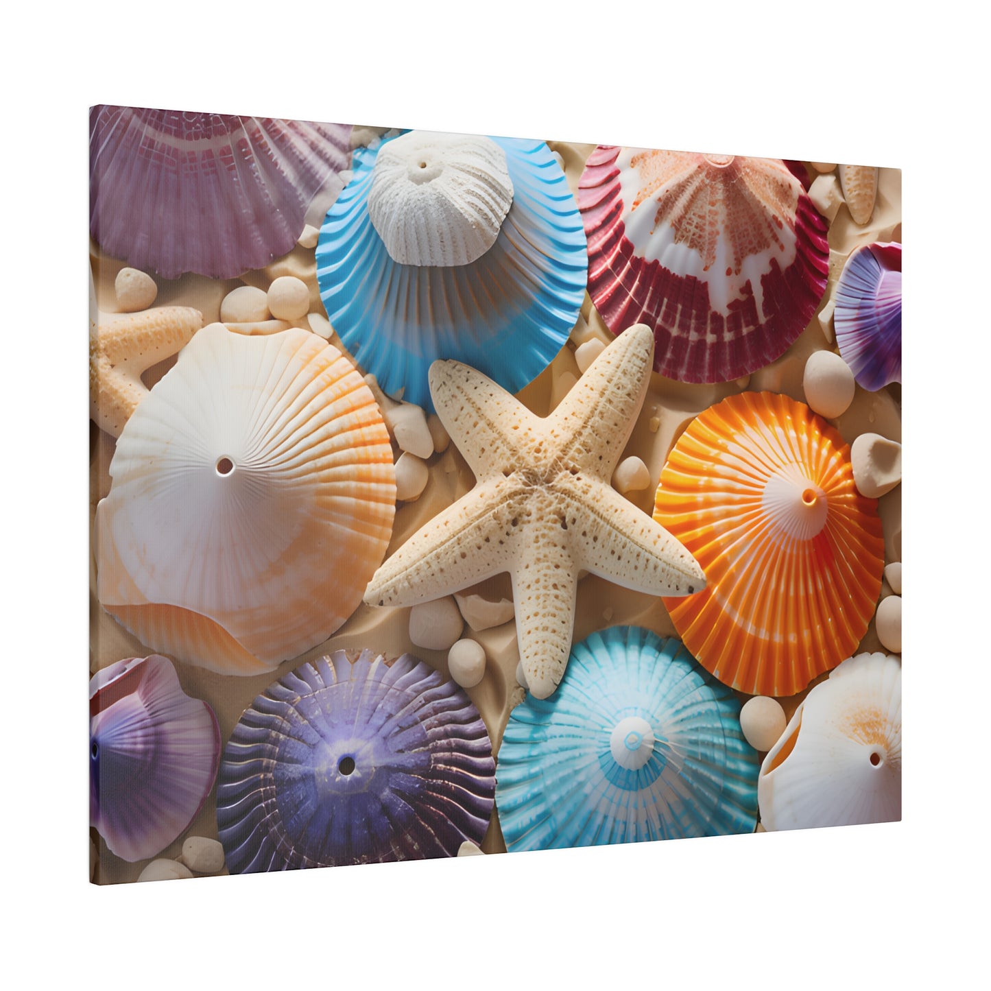 Starfish And Seashells Matte Canvas, Stretched, 0.75" pn004