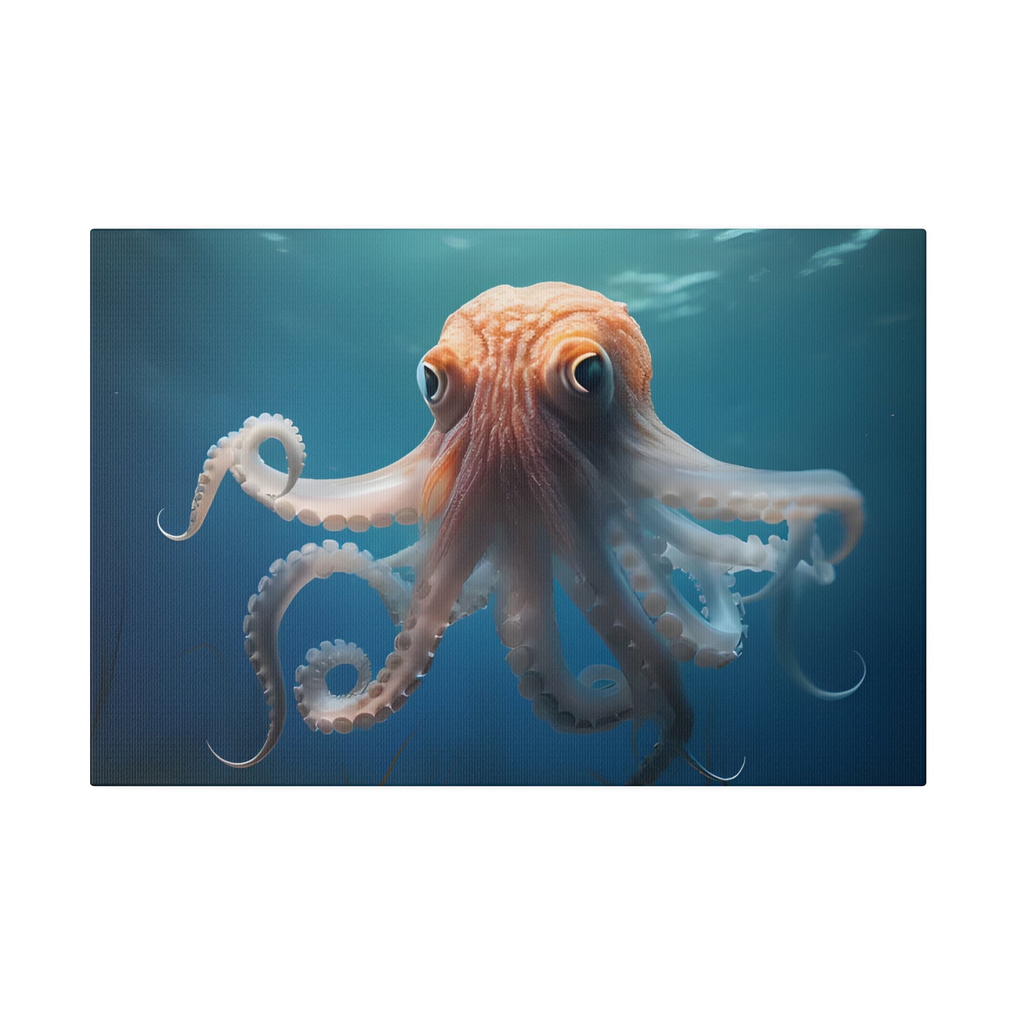 Octopus Matte Canvas, Stretched, 0.75" pn010