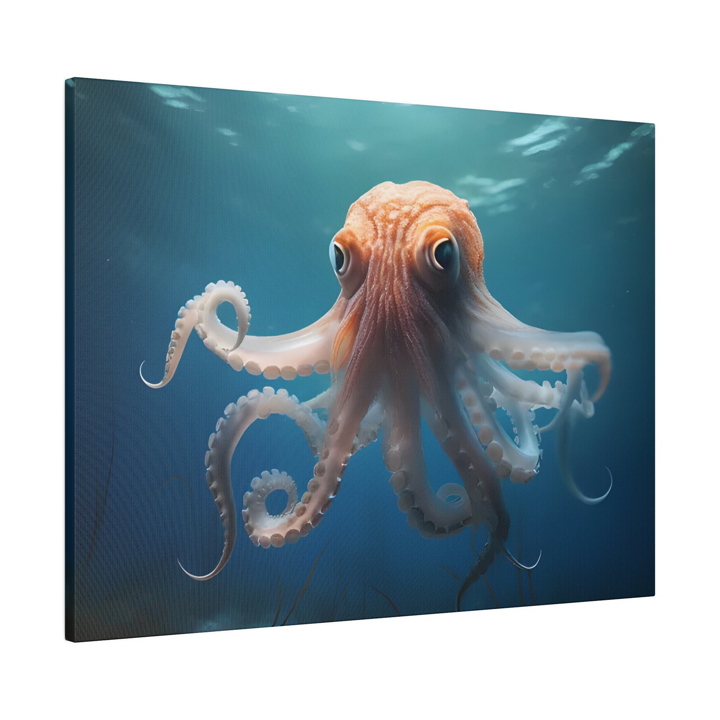 Octopus Matte Canvas, Stretched, 0.75" pn010