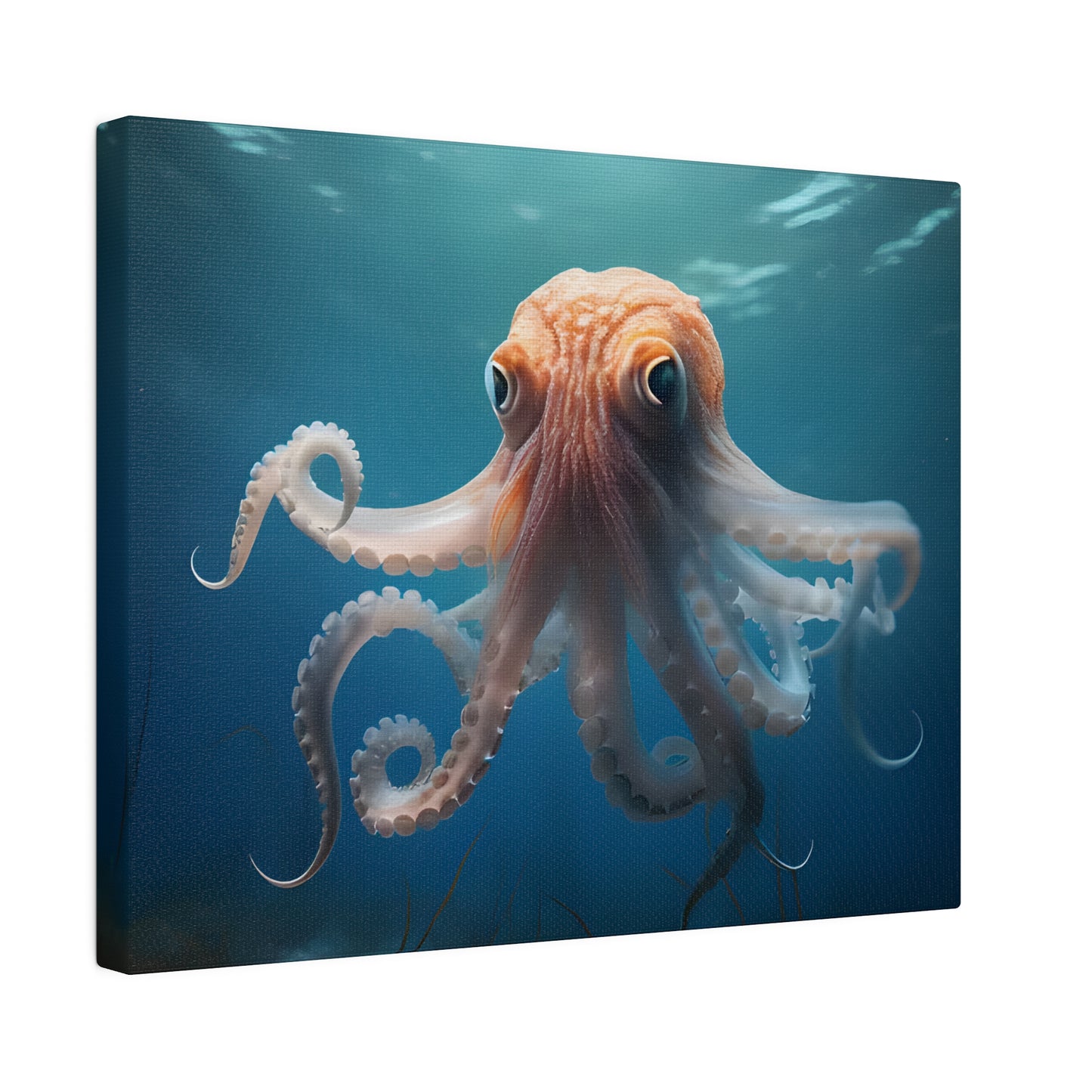 Octopus Matte Canvas, Stretched, 0.75" pn010