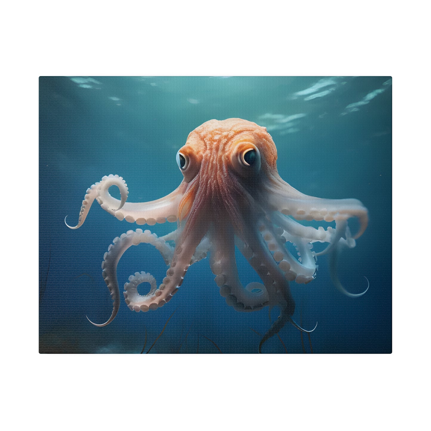 Octopus Matte Canvas, Stretched, 0.75" pn010