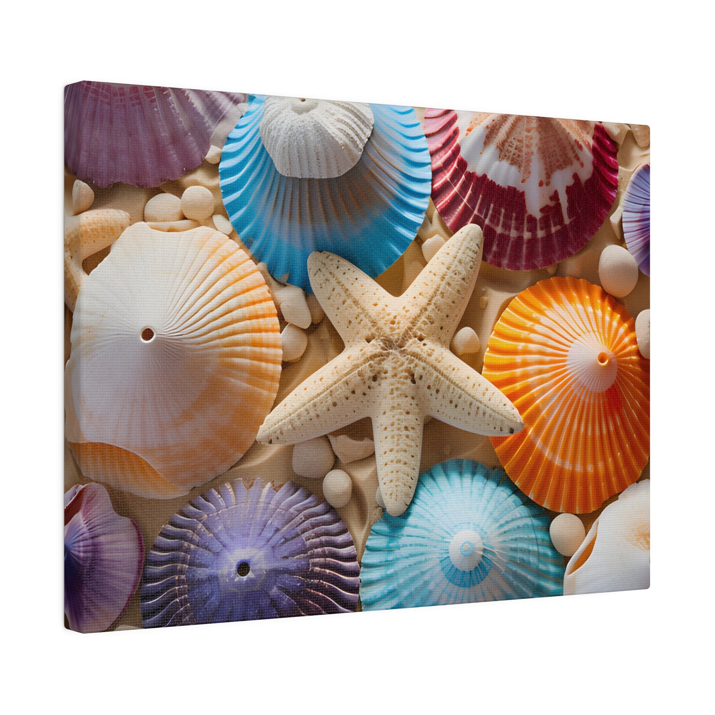 Starfish And Seashells Matte Canvas, Stretched, 0.75" pn004
