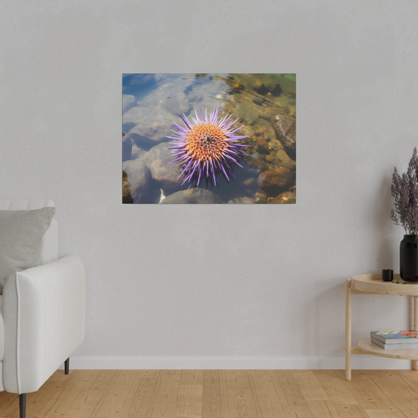 Sea Urchin Matte Canvas, Stretched, 0.75" pn005