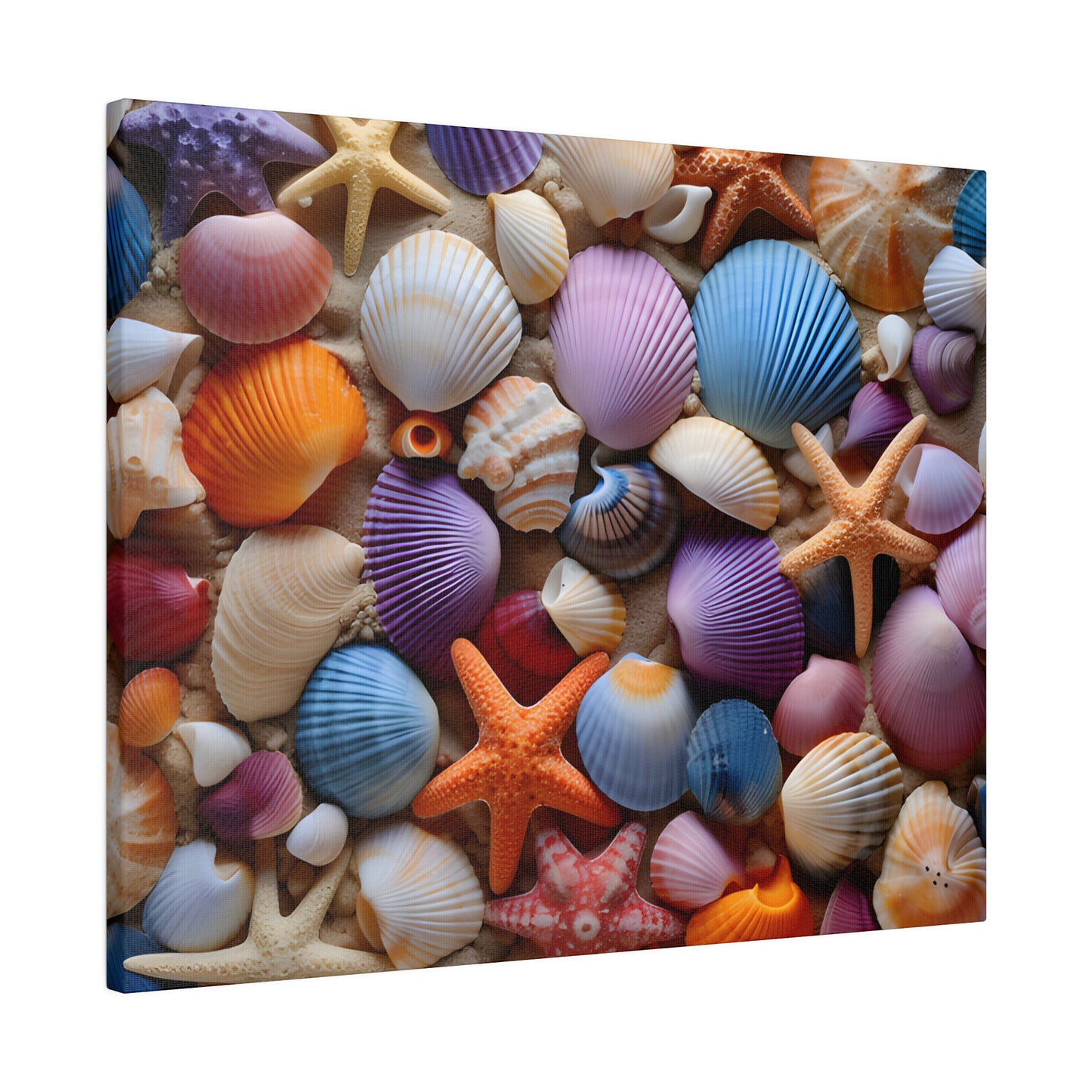 Starfish and Seashells Matte Canvas, Stretched, 0.75" pn003