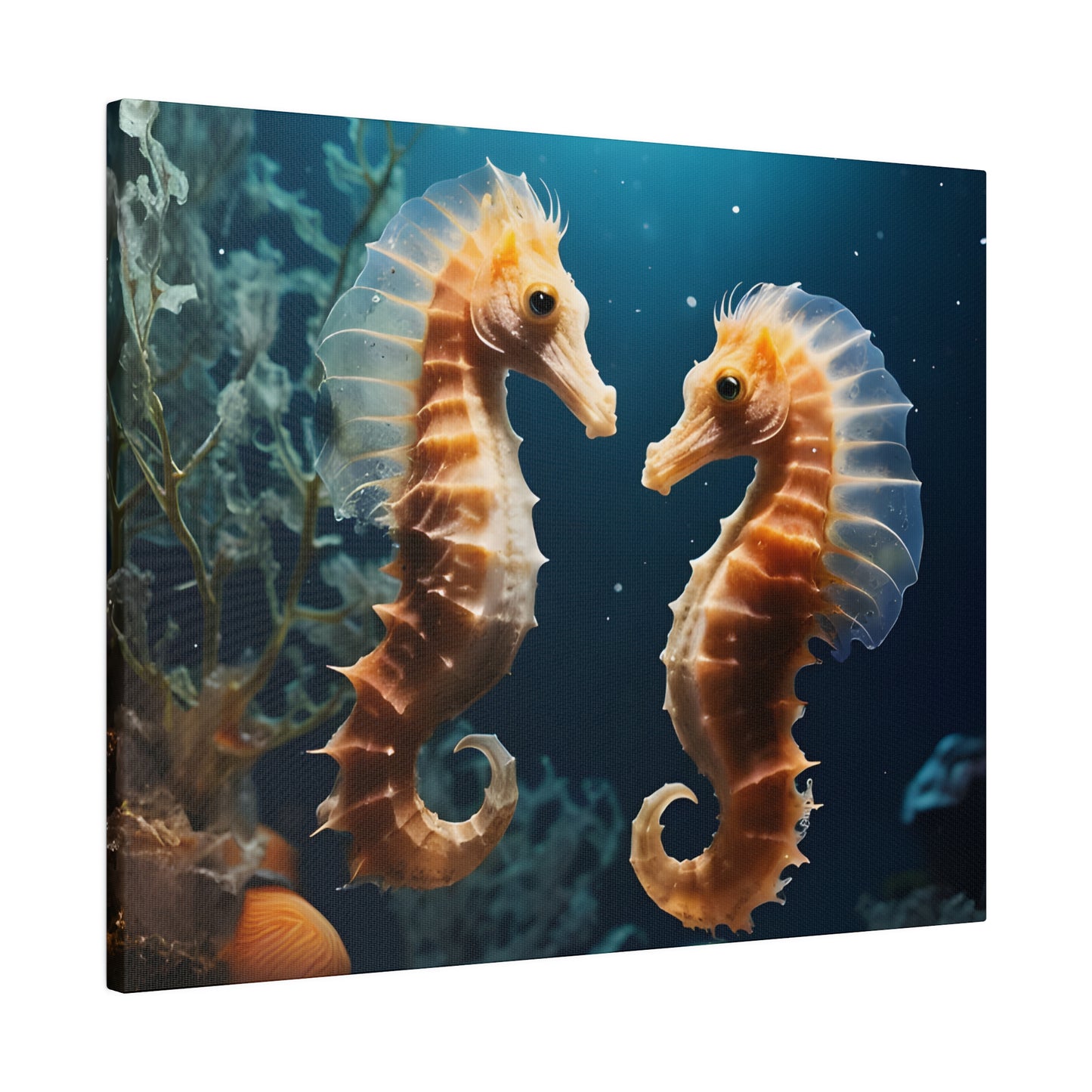 Seahorse Matte Canvas, Stretched, 0.75" pn008