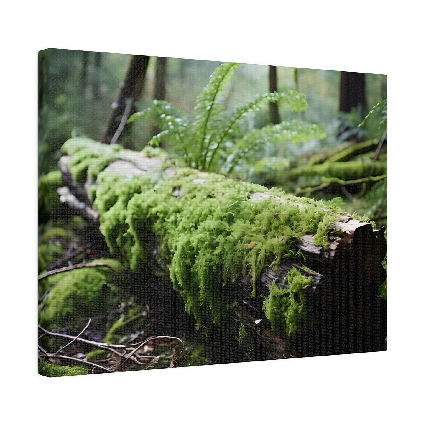 Mossy Log Matte Canvas, Stretched, 0.75" pn016