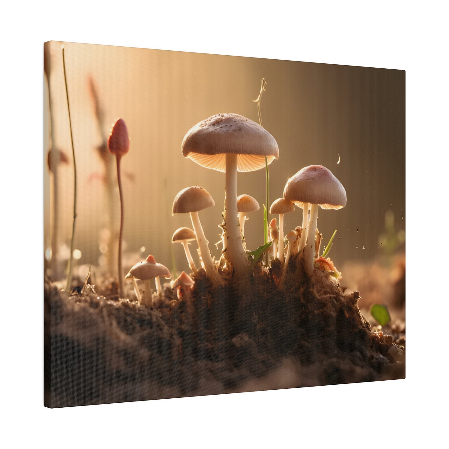 Tiny Mushrooms Matte Canvas, Stretched, 0.75" pn028