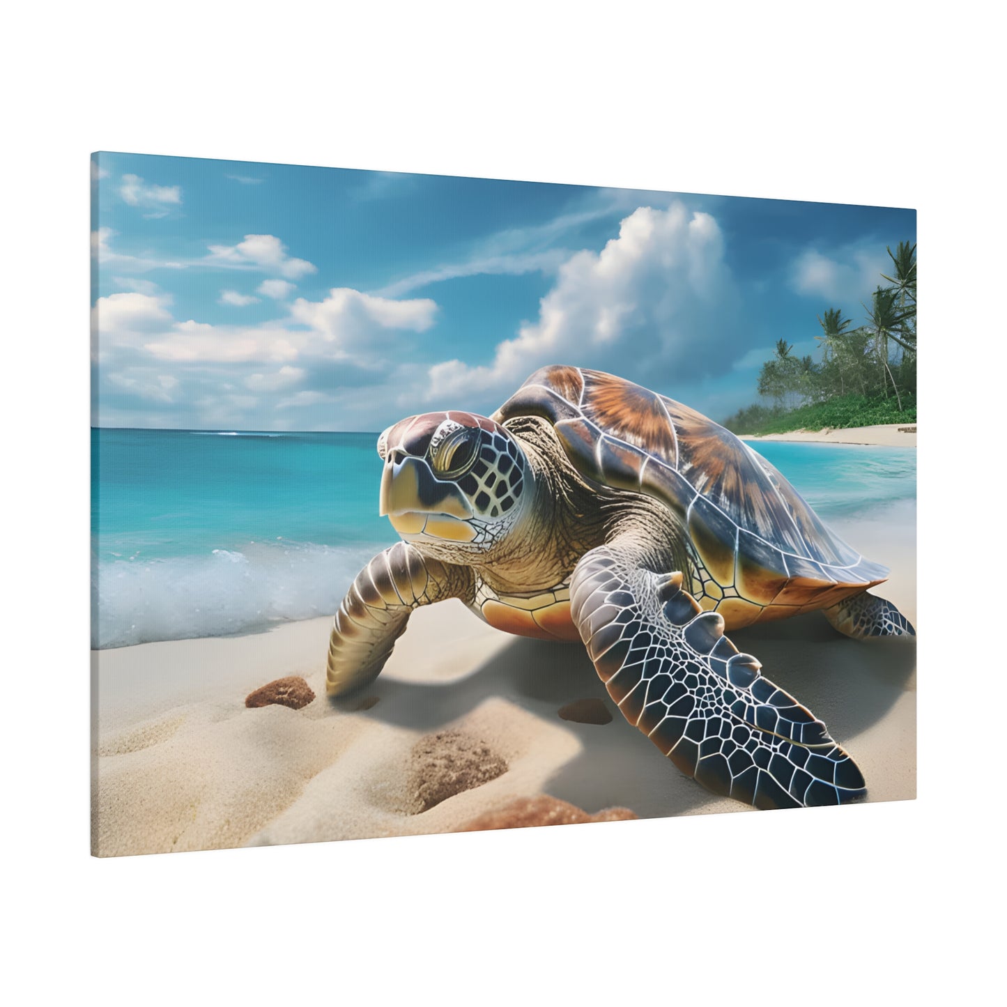 Sea Turtle Matte Canvas, Stretched, 0.75" pn019