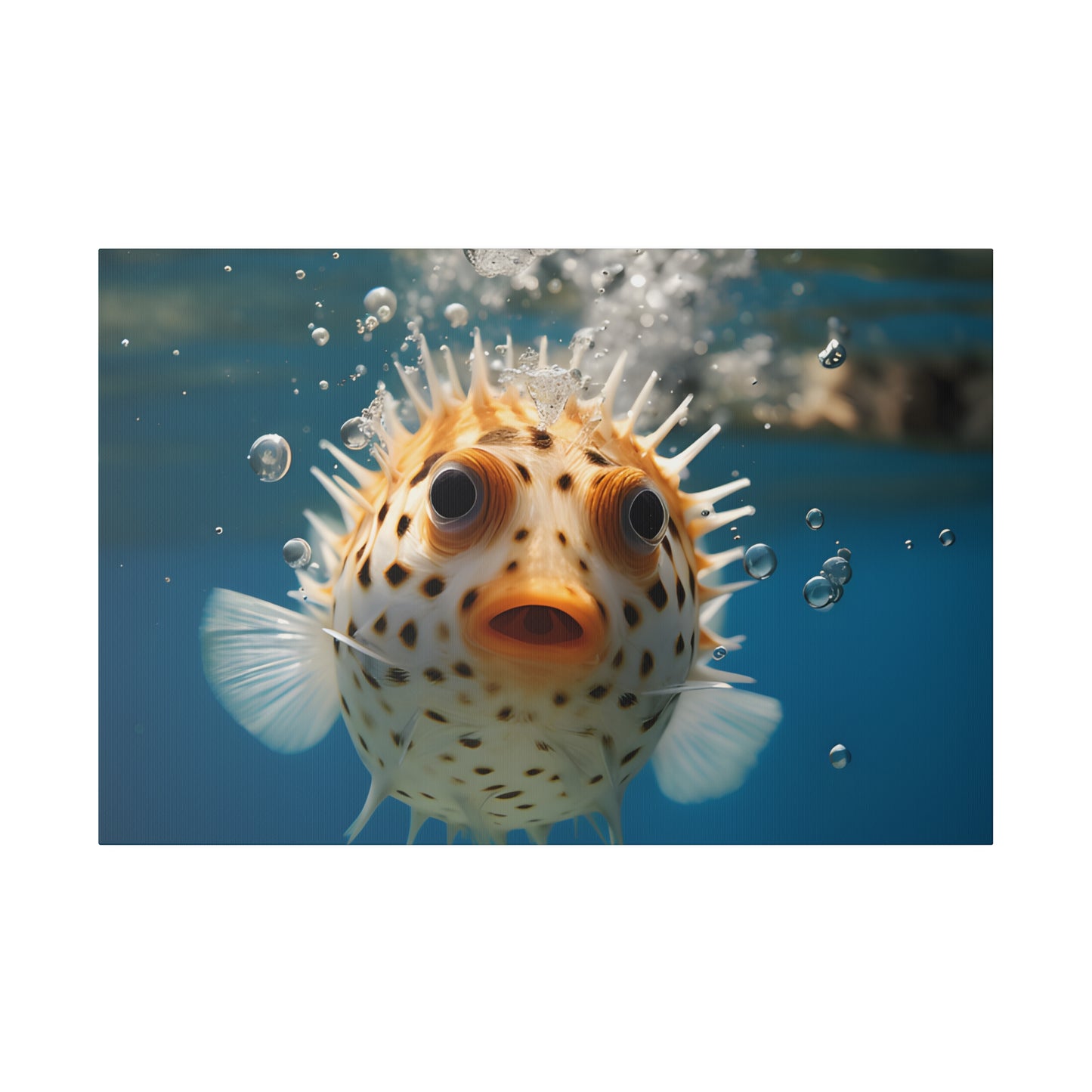 Pufferfish Matte Canvas, Stretched, 0.75" pn007