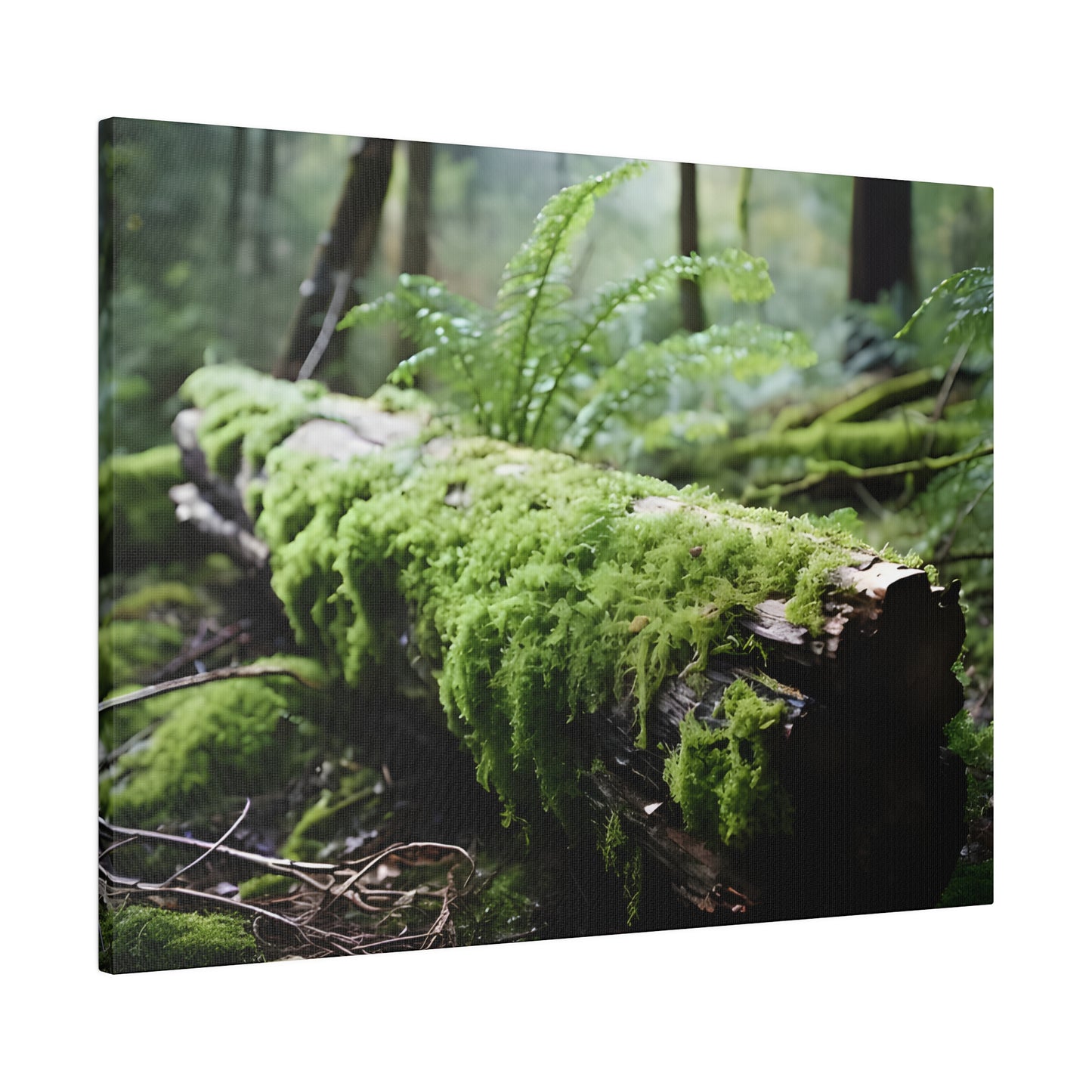 Mossy Log Matte Canvas, Stretched, 0.75" pn016