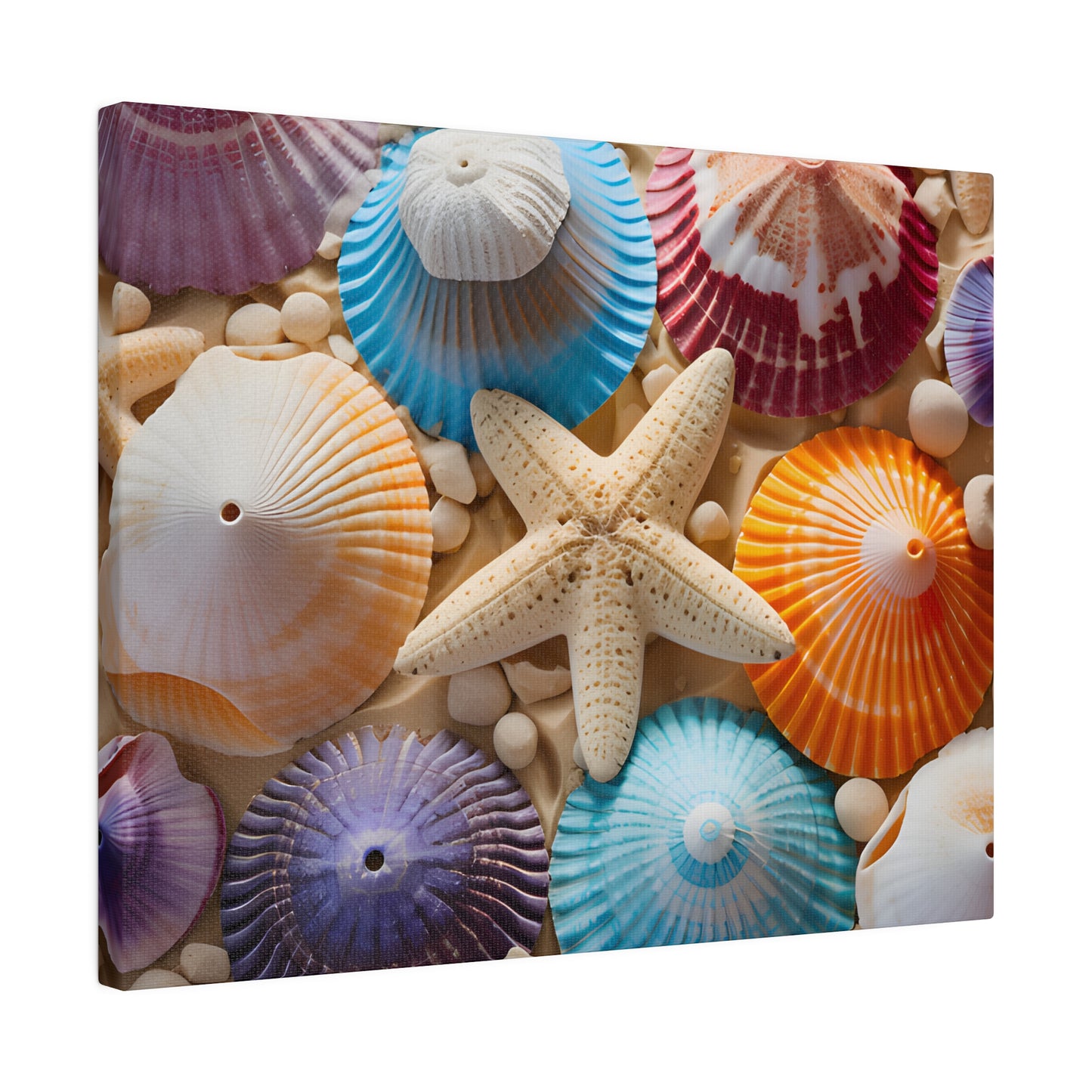 Starfish And Seashells  Matte Canvas, Stretched, 0.75" pn004