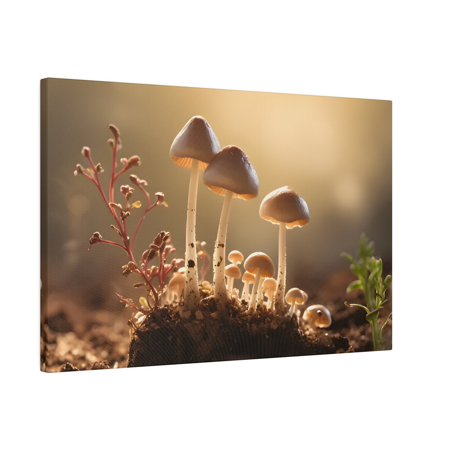 Tiny Mushrooms Matte Canvas, Stretched, 0.75" pn025